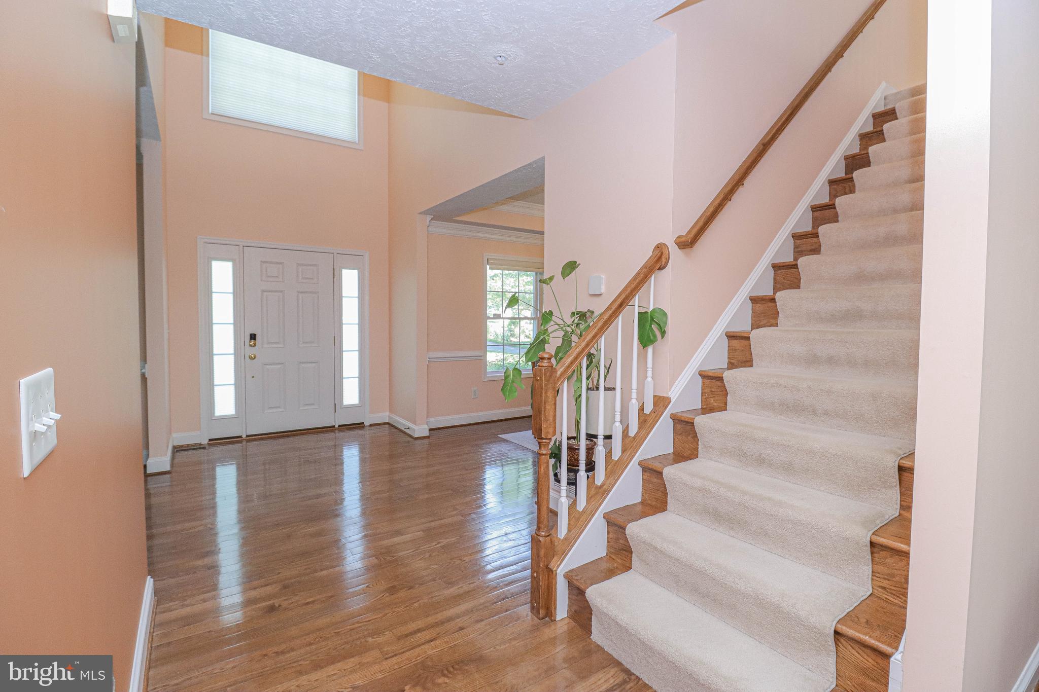 HOLMEHURST - Residential