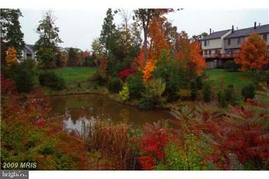 WOODSTONE - Residential Lease