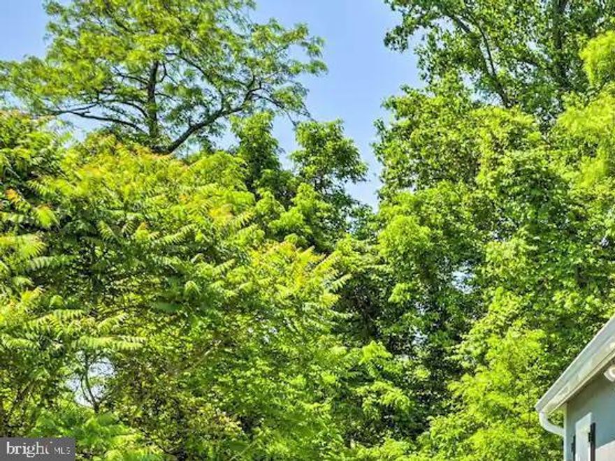 Tiny living at its best! This adorable tiny home is located in beautiful Berkeley Springs tucked into a hillside with easy access to the downtown area. This is a great opportunity for a first-time homebuyer or an investor to use as an Airbnb. This home is located close to Cacapon State Park, and the Berkeley Springs State Park where you can swim, hike, boat, and soak in hot springs. This is an easy drive from Washington DC for a weekend get away from city life. This home is being sold furnished and is already set up for the new owner! Schedule a showing today!