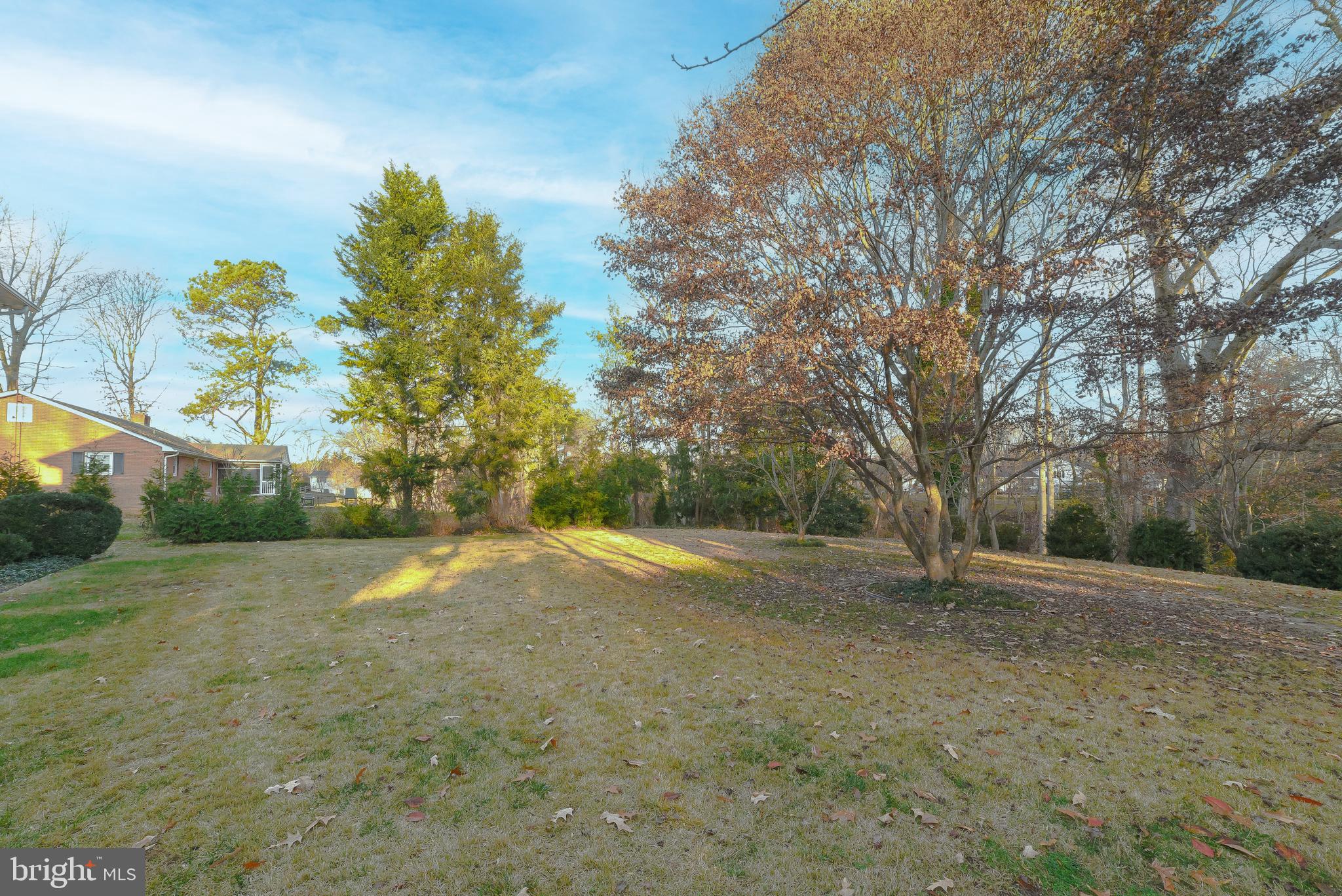 SOCIETY HILL - Residential