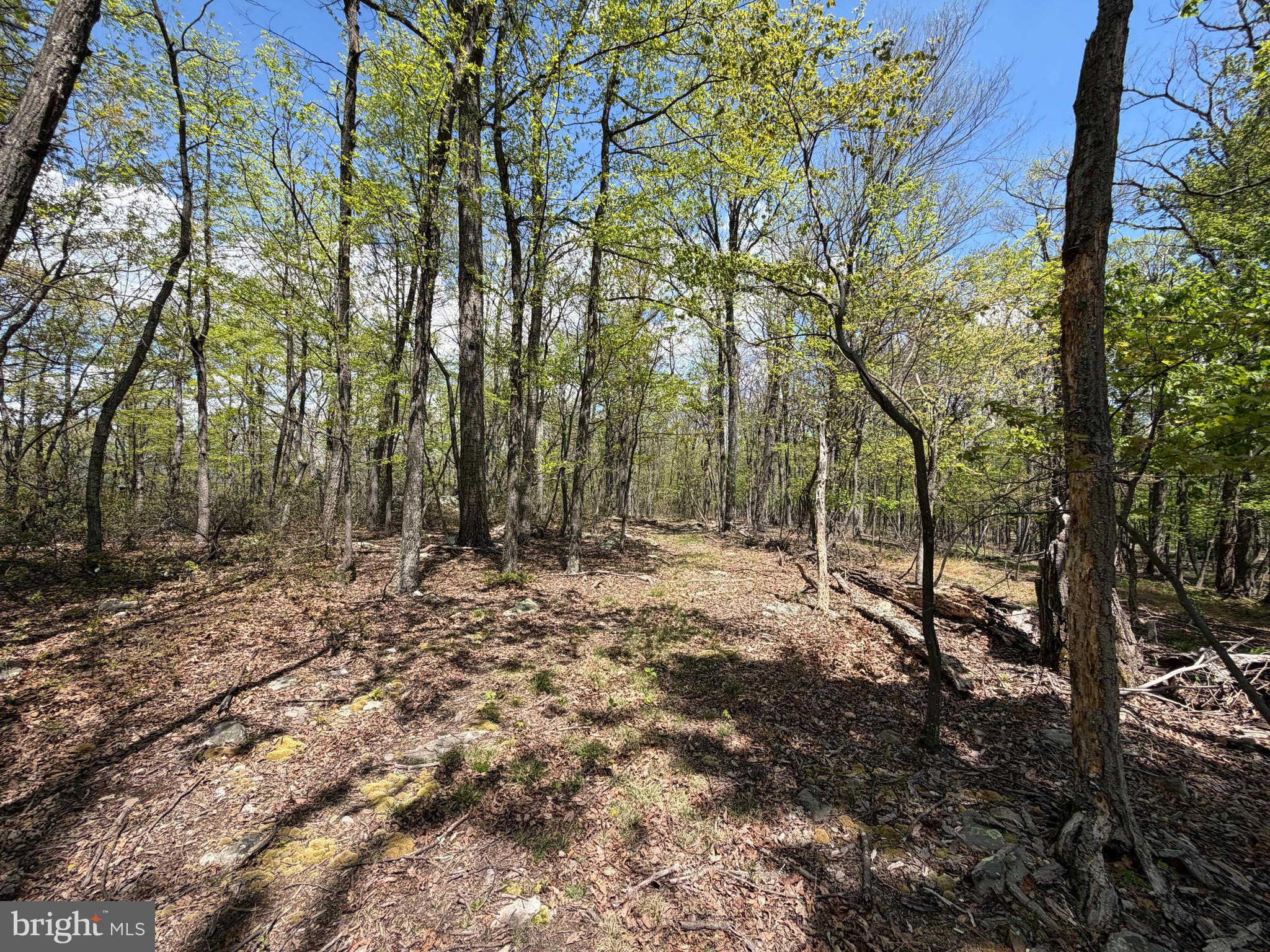 EAGLE MOUNTAIN - Land