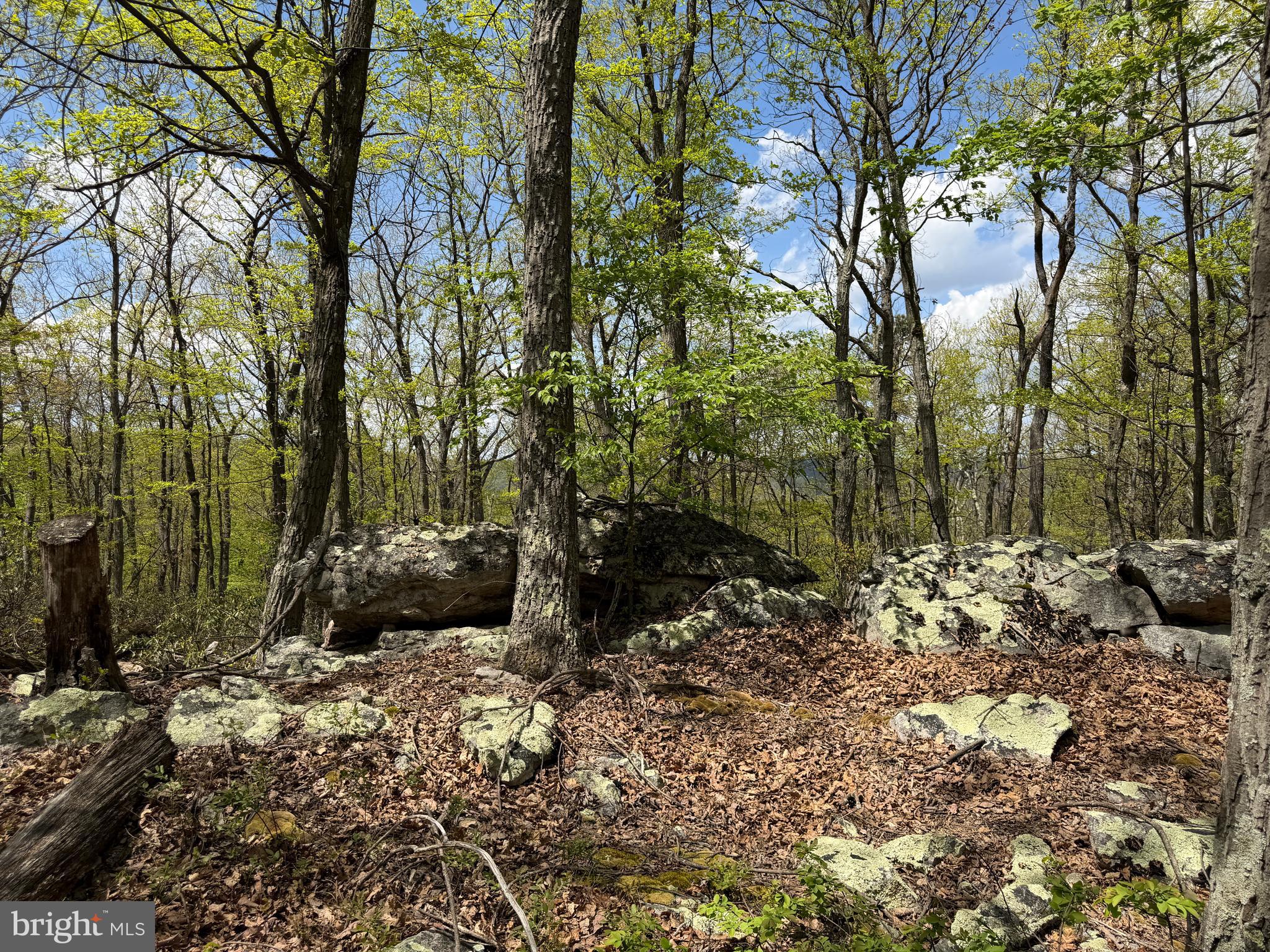 EAGLE MOUNTAIN - Land