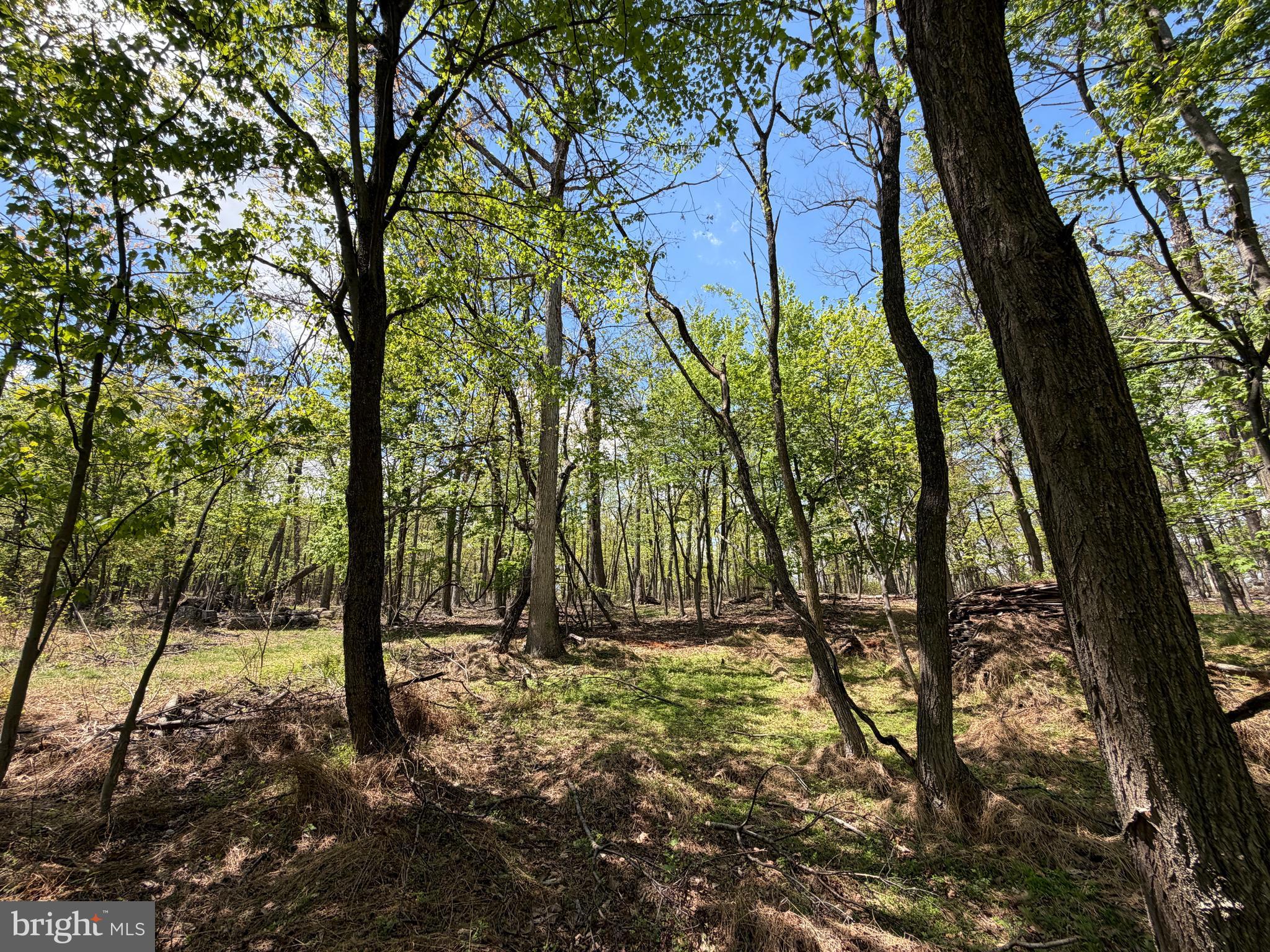 EAGLE MOUNTAIN - Land