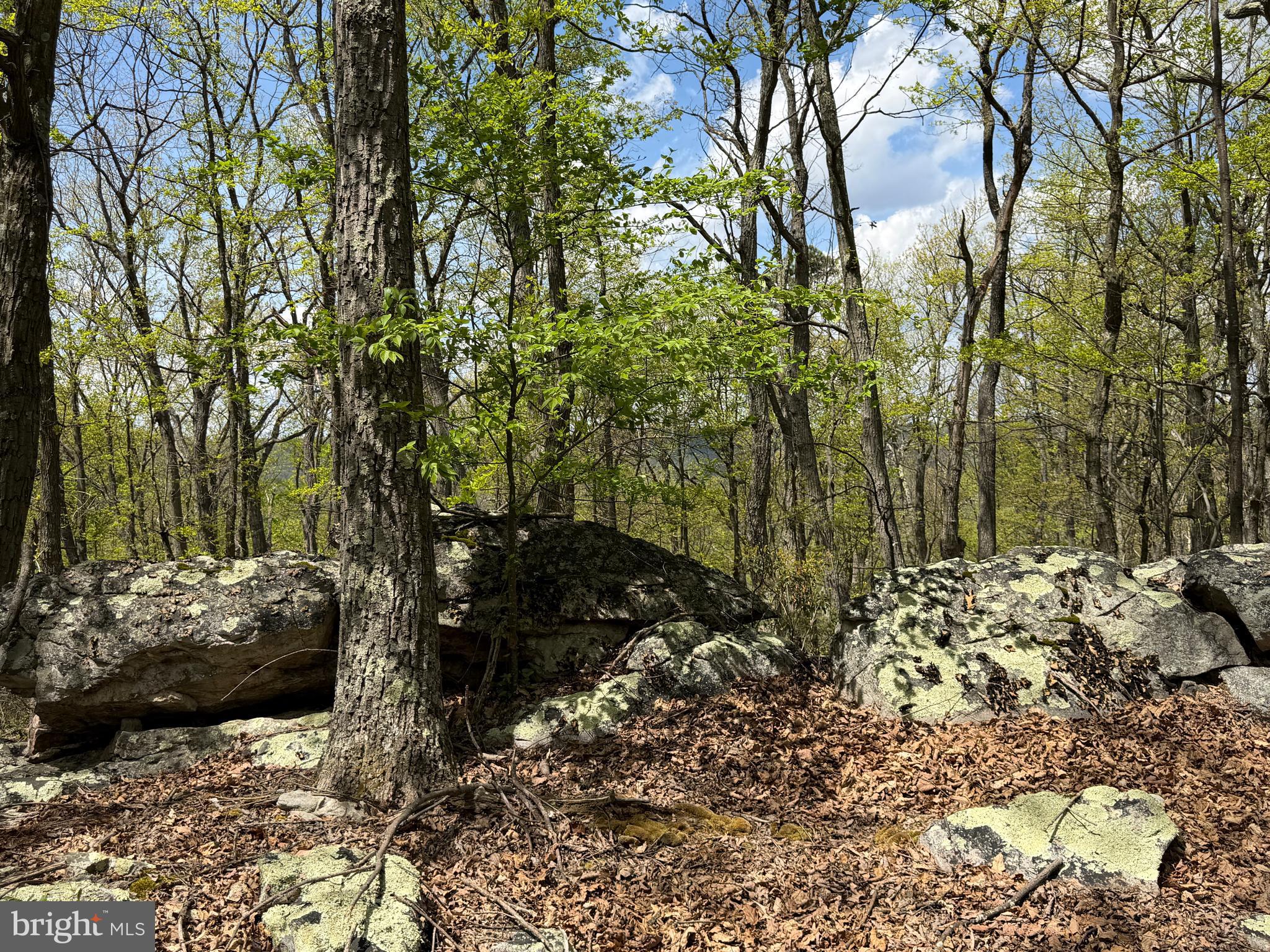 EAGLE MOUNTAIN - Land
