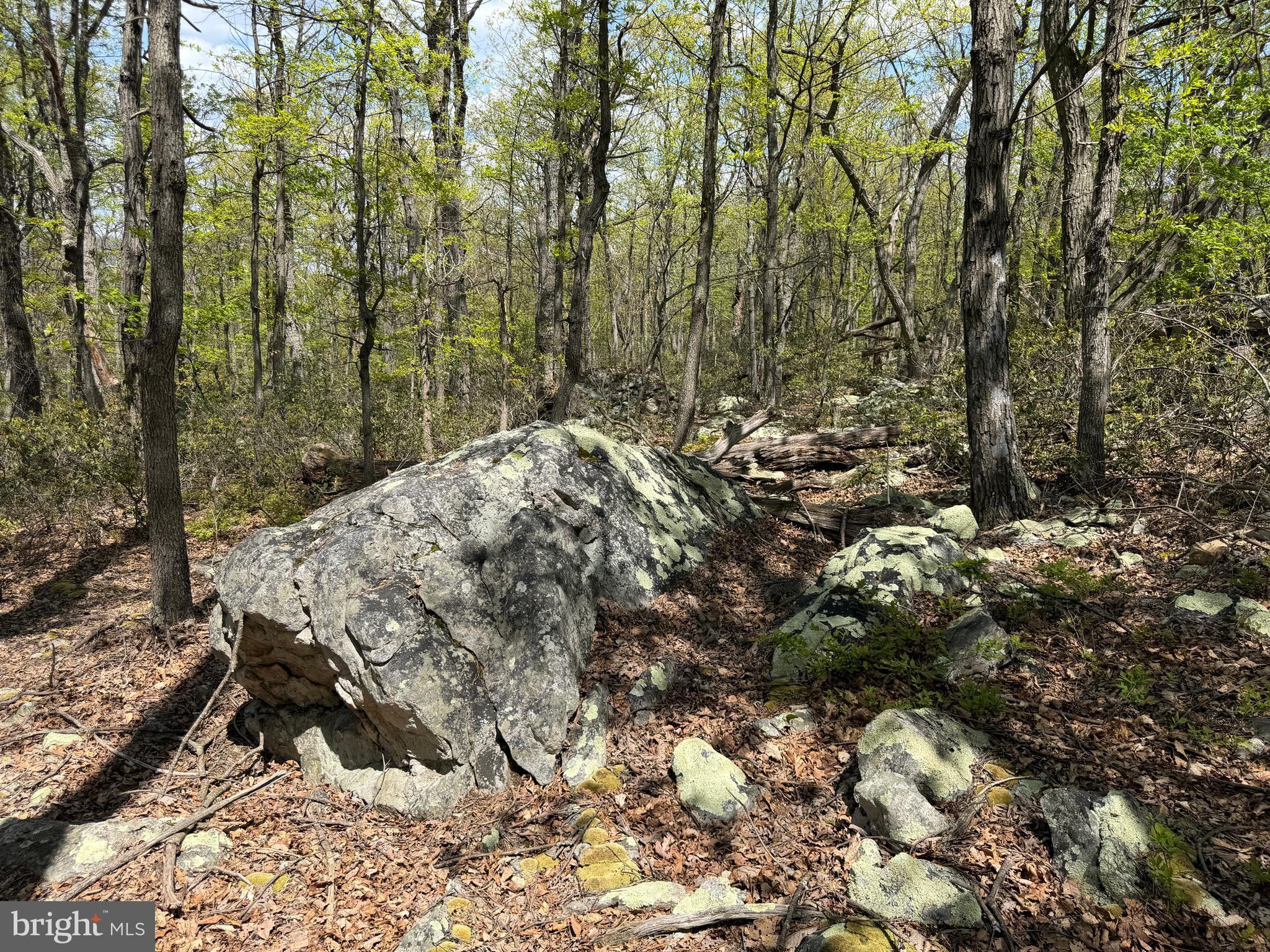 EAGLE MOUNTAIN - Land
