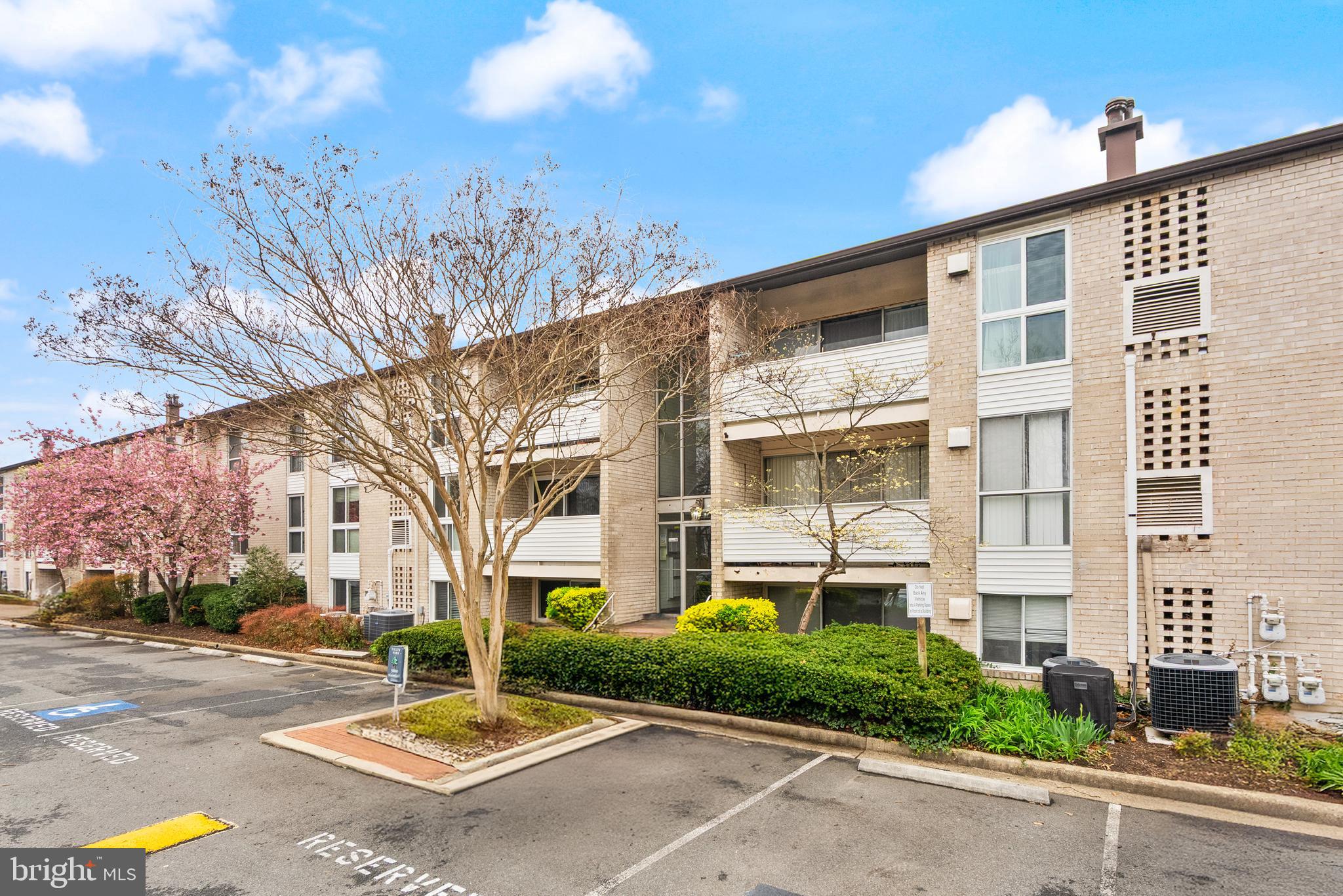 5600 BLOOMFIELD DRIVE 4