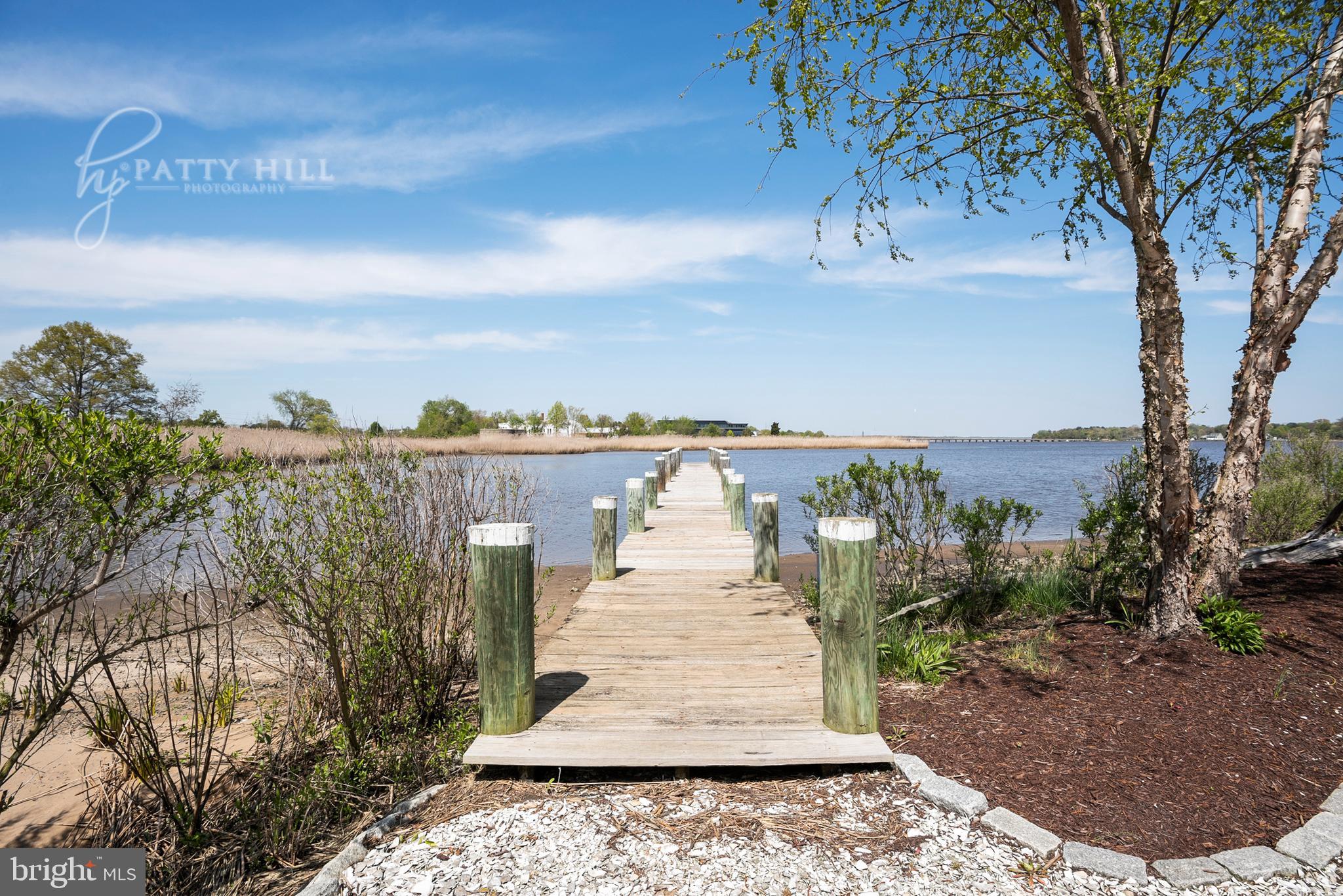 CHESTER RIVER LANDING - Residential