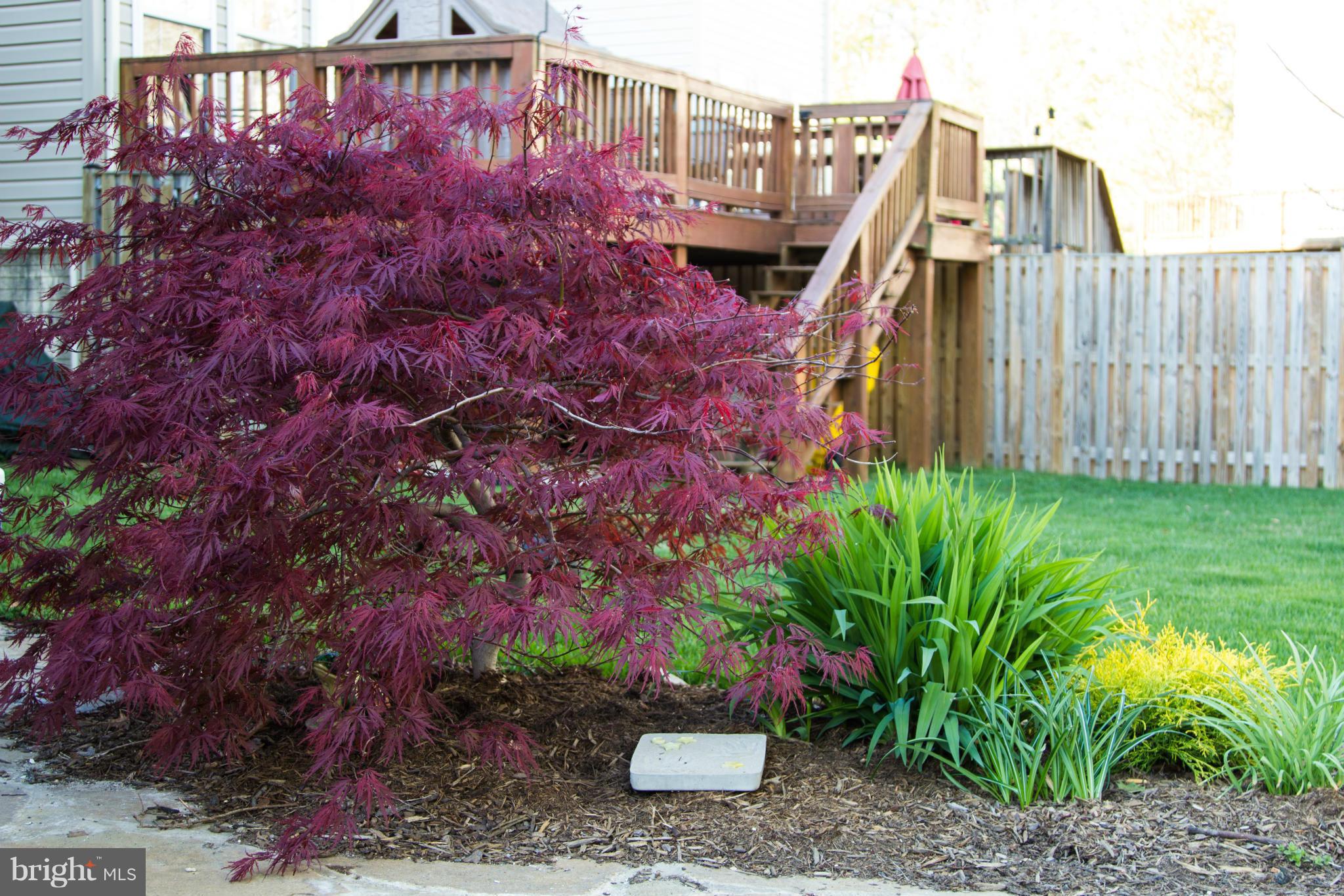 PINEY ORCHARD - Residential