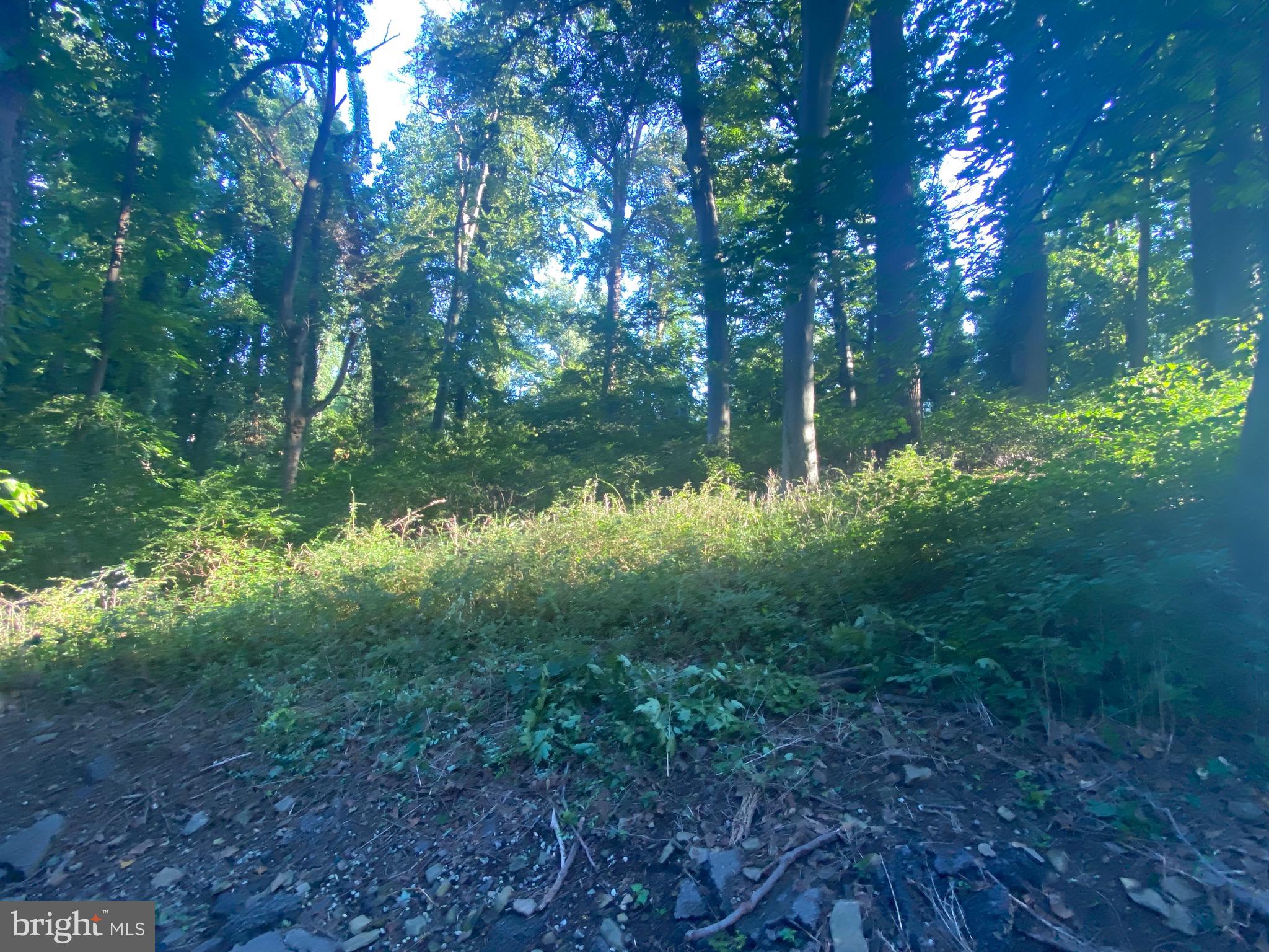 Frustrated with the lack of inventory? Check out this fantastic opportunity to build your dream home in Villanova! This 1.23 acre lot comes with engineering plans for grading, including accommodations for all needs of drainage run-off and retaining walls - already paid for by the sellers at significant expense, and provided to you. These plans also include a pool and pool house if desired, and have already been approved by the township. Additionally, you can choose to purchase the architectural designs that have already been painstakingly drawn up for a 3300-3500 square foot French Colonial home with 2-car garage. This square footage does not include attic or basement. Public water and sewer hook-ups are available. Easy access to major routes, public transit, and the hundreds of shopping, dining, and entertainment options between the Main Line and King of Prussia. Included in the photos are renderings of 4 fantastic homes that can be built in partnership with Rotelle, and cater to a wide variety of taste and features!