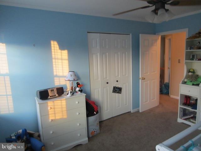 POPLAR SPRINGS - Residential