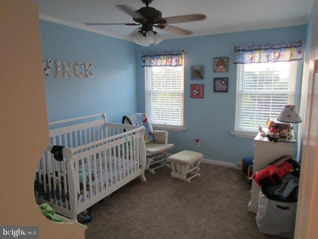 POPLAR SPRINGS - Residential