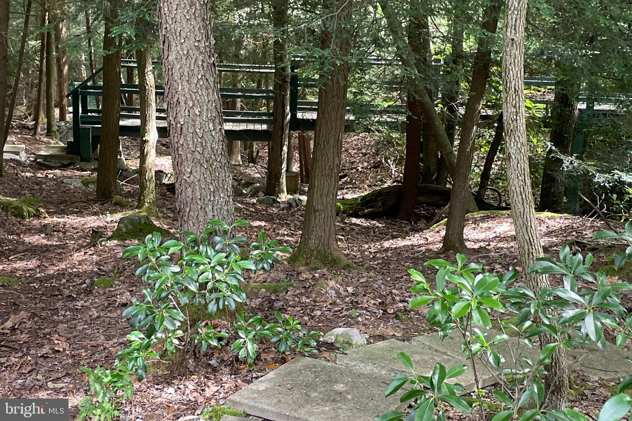 YOUGH MT. RESORT - Residential