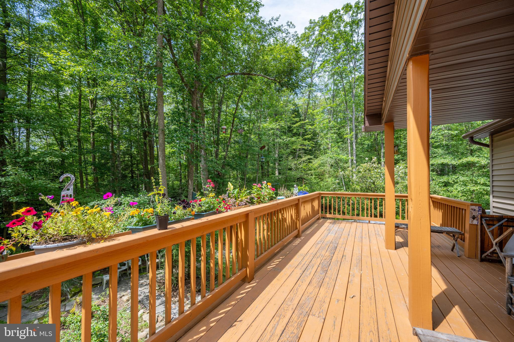 YOUGH MT. RESORT - Residential