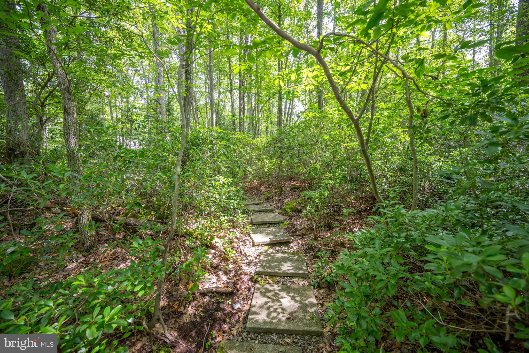 YOUGH MT. RESORT - Residential