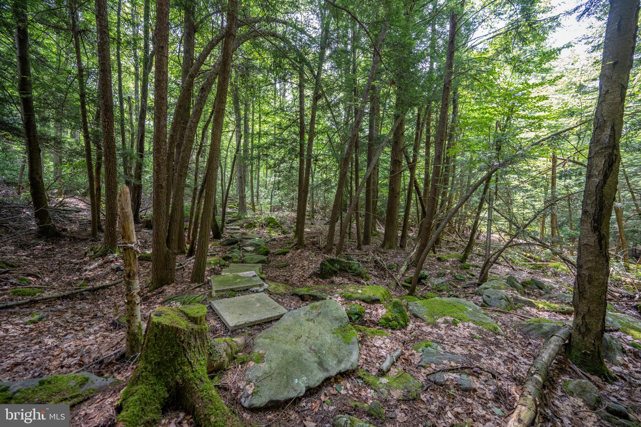 YOUGH MT. RESORT - Residential