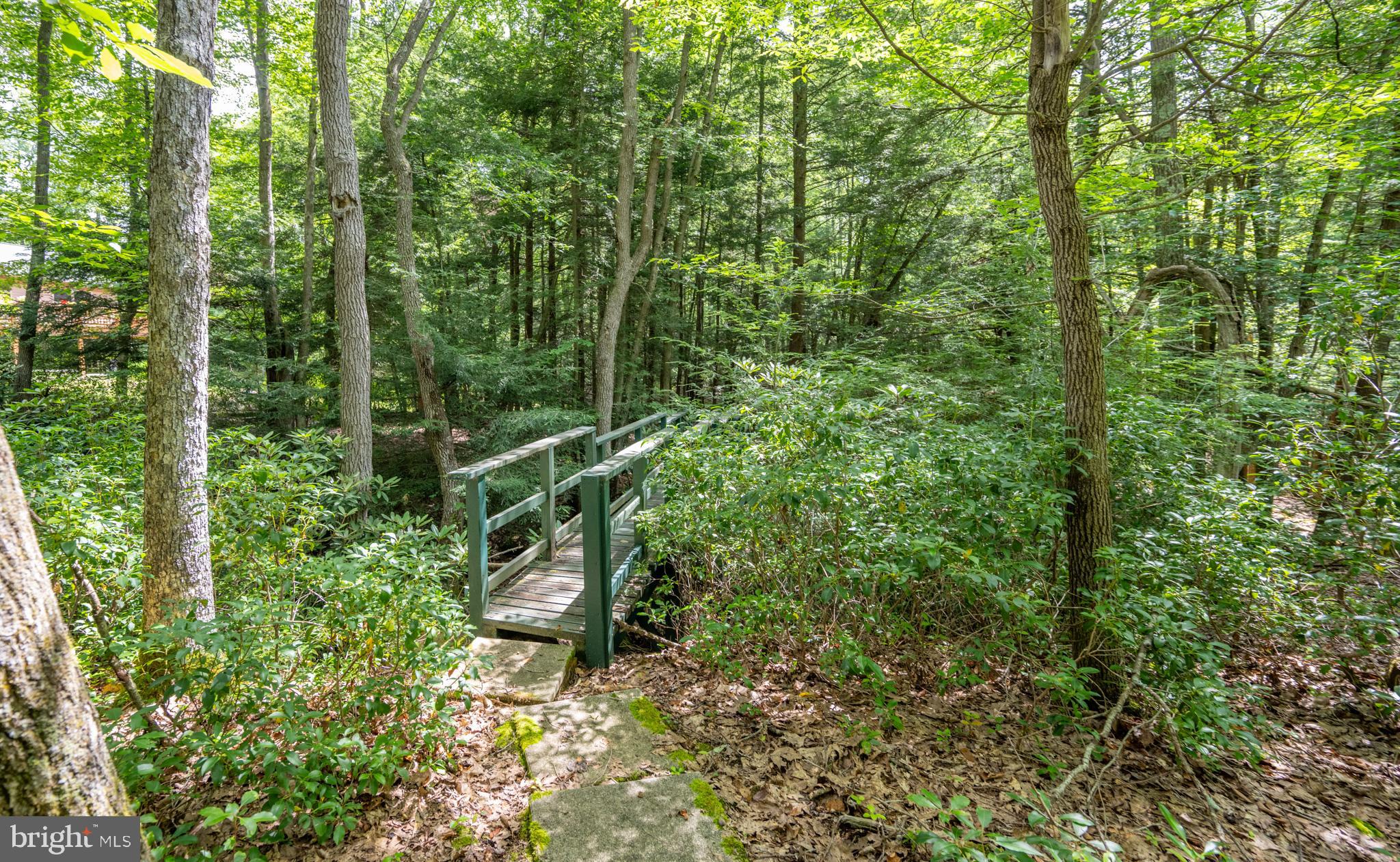 YOUGH MT. RESORT - Residential