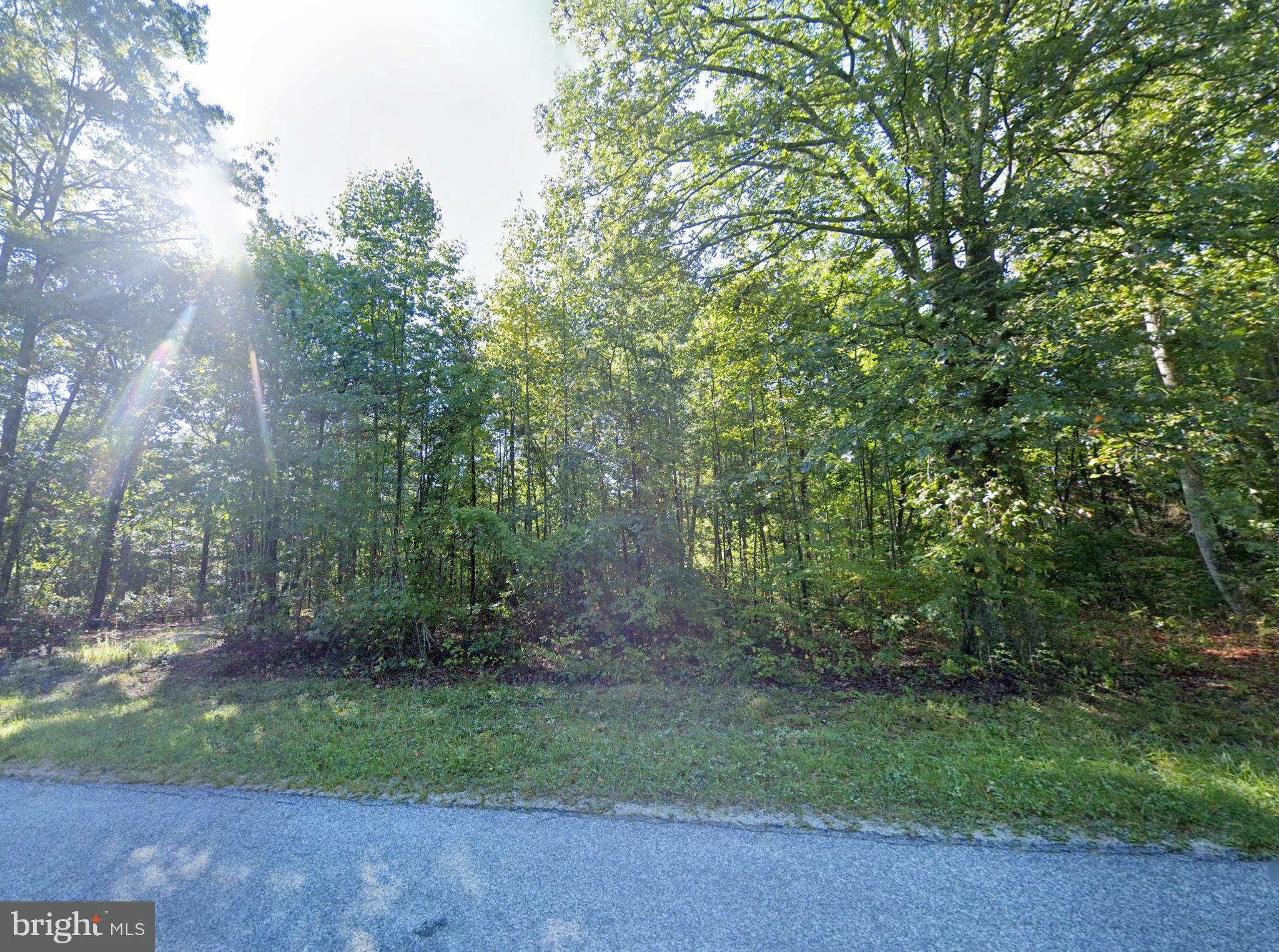 6067 LAUREL ROAD