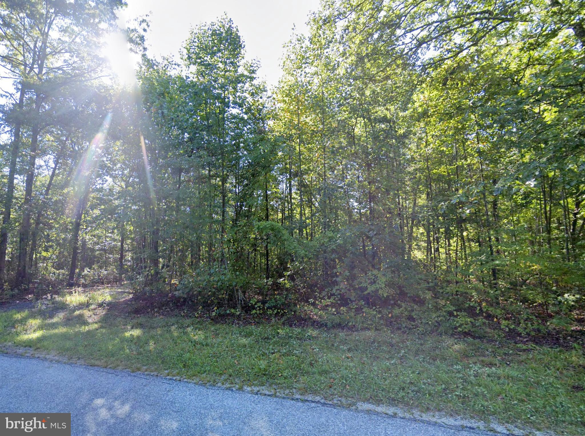 6067 LAUREL ROAD