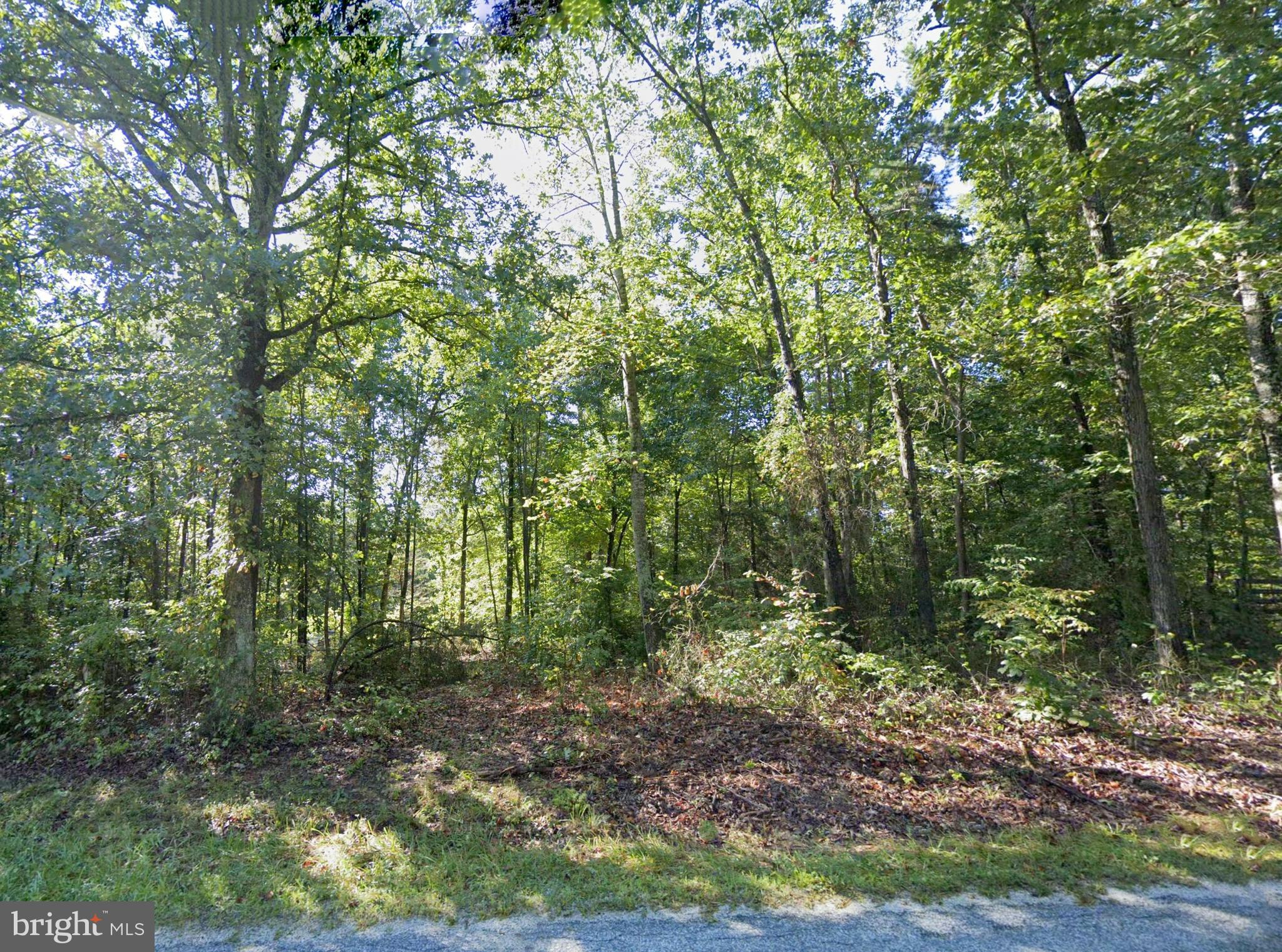 6067 LAUREL ROAD