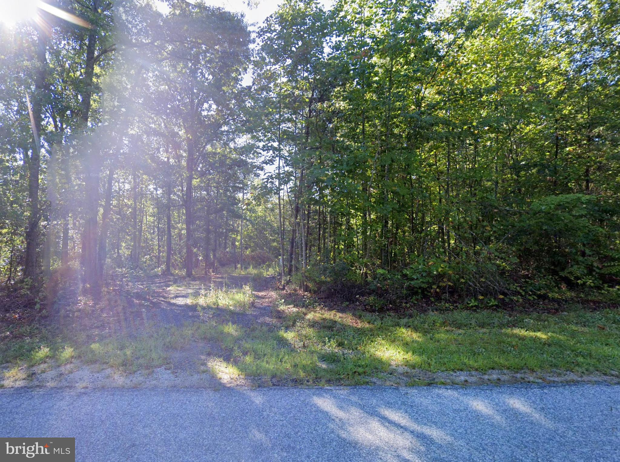 6067 LAUREL ROAD