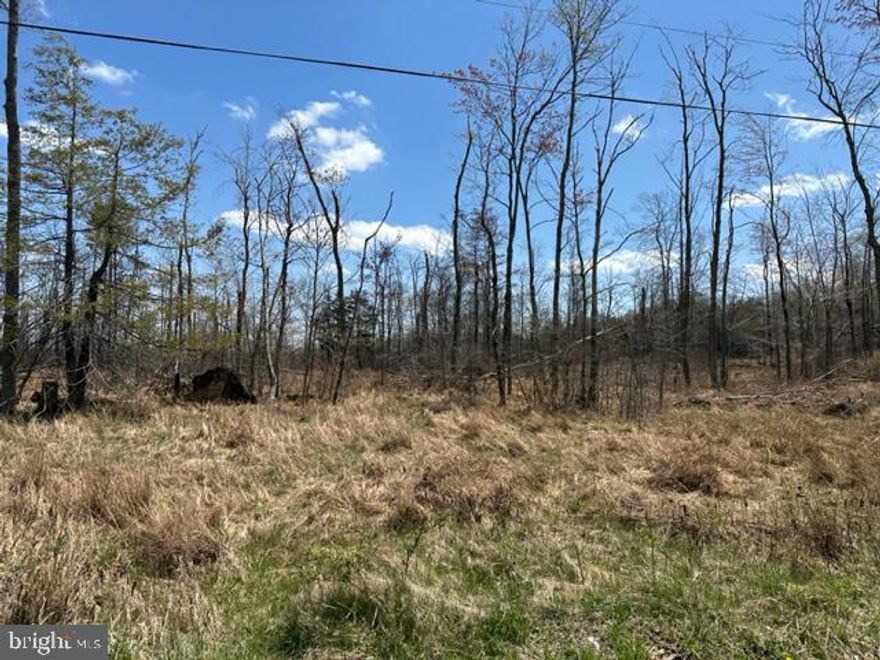 MT. STORM - 21.05 ACRES SUBDIVIDED INTO SEVEN (7) BUILDING LOTS IN "CHERRY VIEW ACRES". LOTS RANGE IN SIZE FROM 2.3 ACRES TO 4 ACRES. PUBLIC WATER AND ELECTRIC ON SITE AND ALL LOTS ARE "PERC TESTED". FRONTAGE ON "CHERRY RIDGE ROAD". LEVEL BUILDING LOTS, FULLY WOODED, PUBLIC UTILITIES.