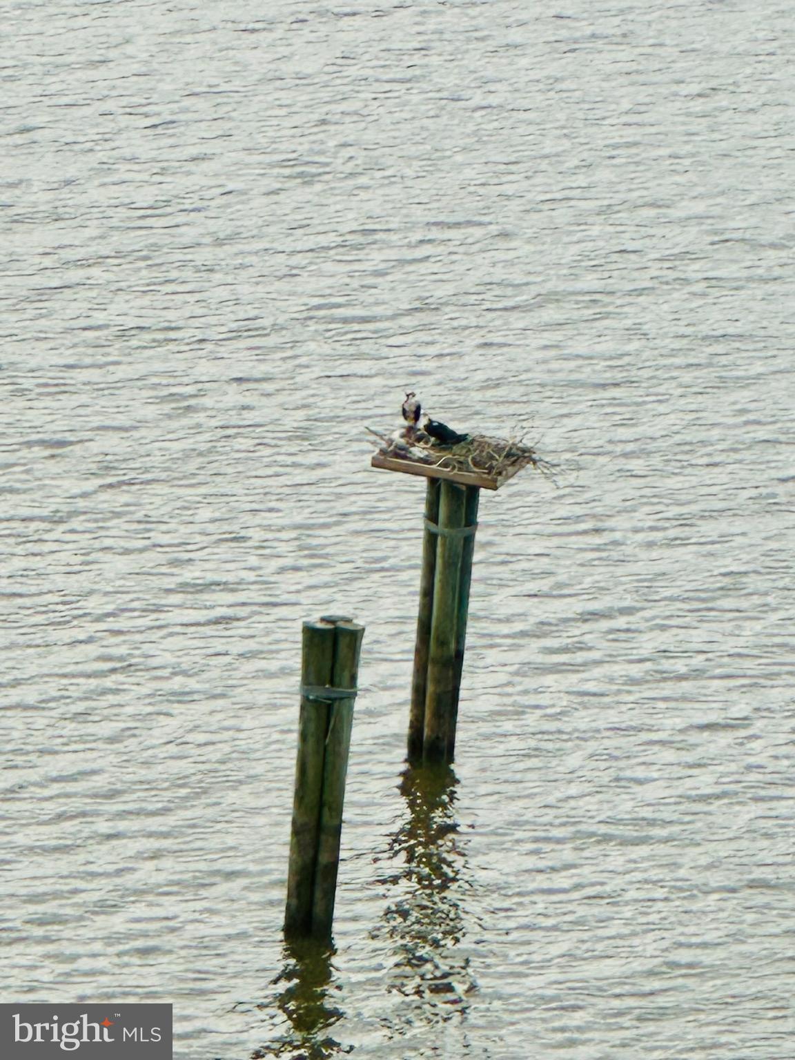 BELLE RIVE - Residential