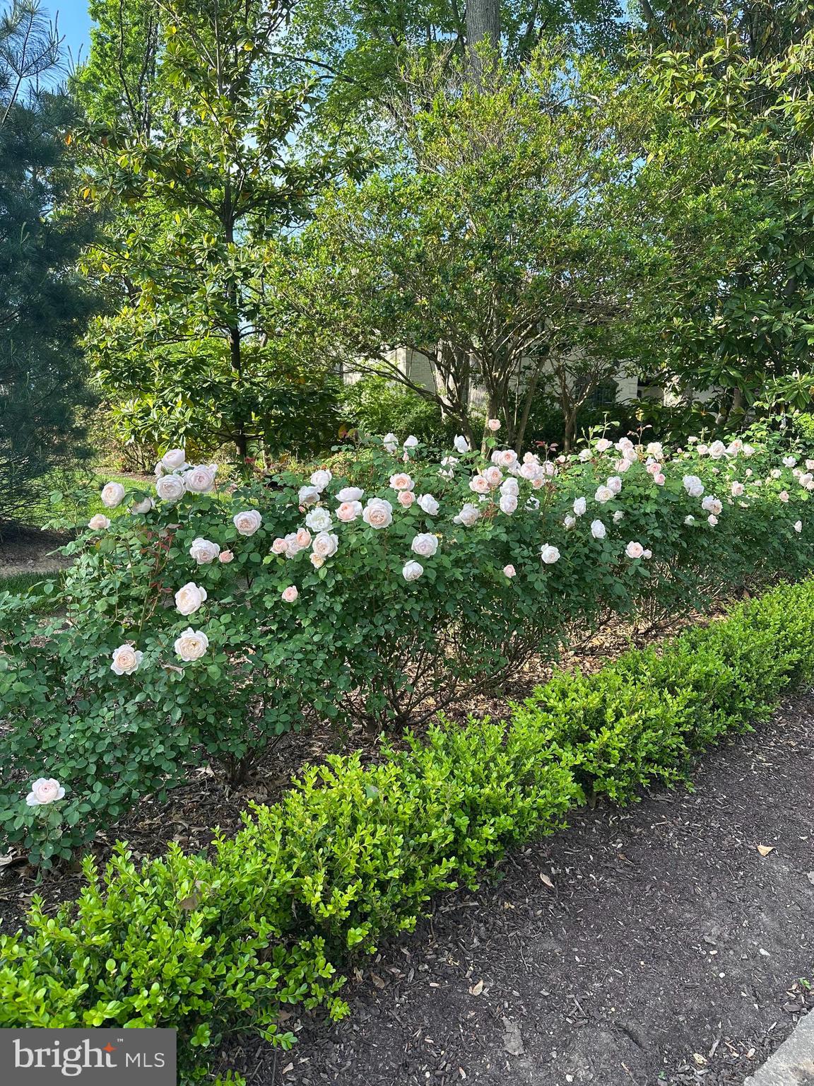 BELLE RIVE - Residential