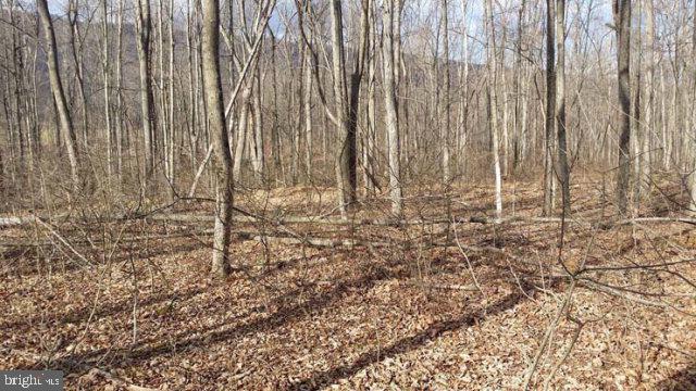 NONE AVAILABLE - Land