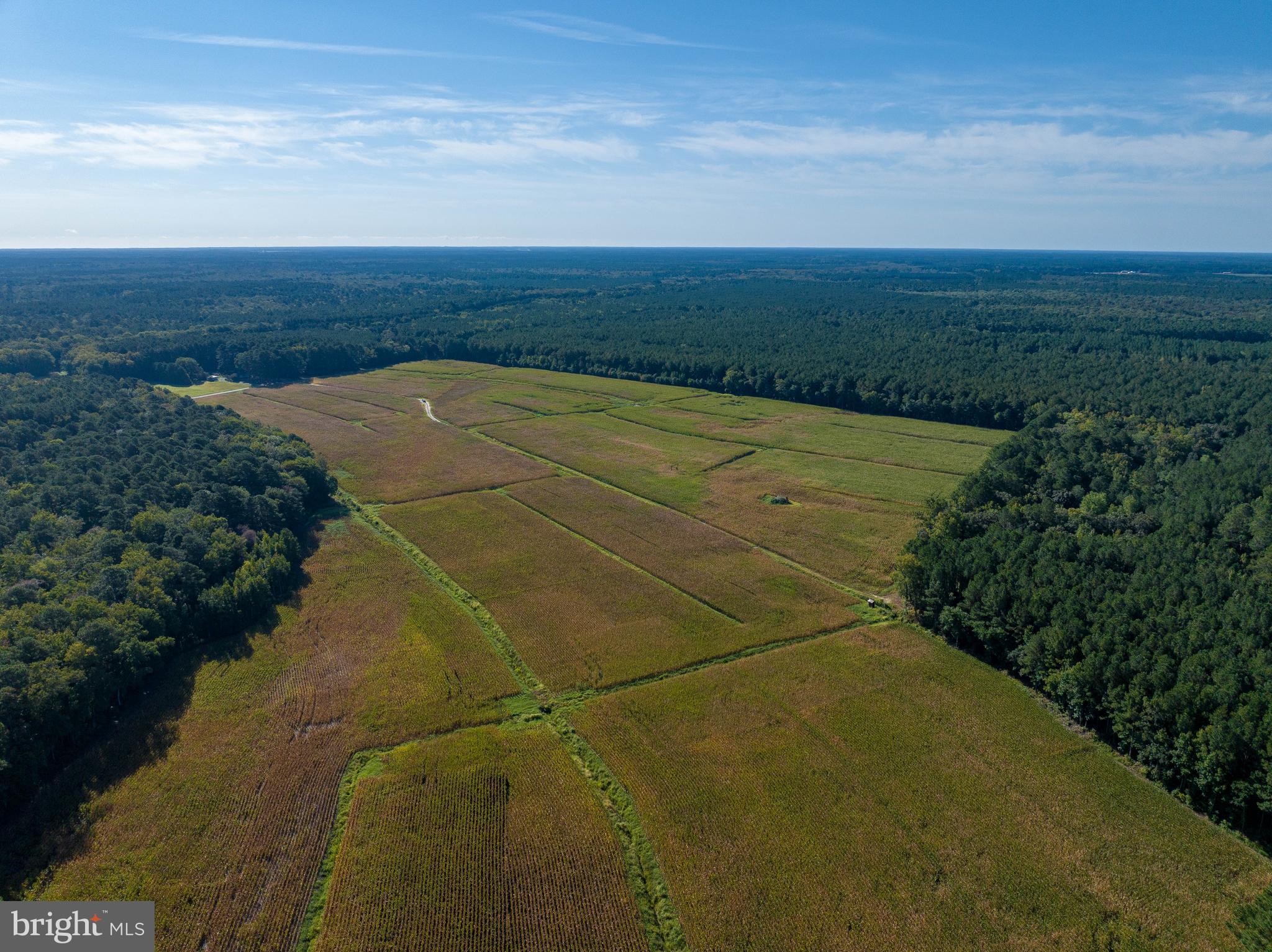 0 GREENBRIAR SWAMP ROAD