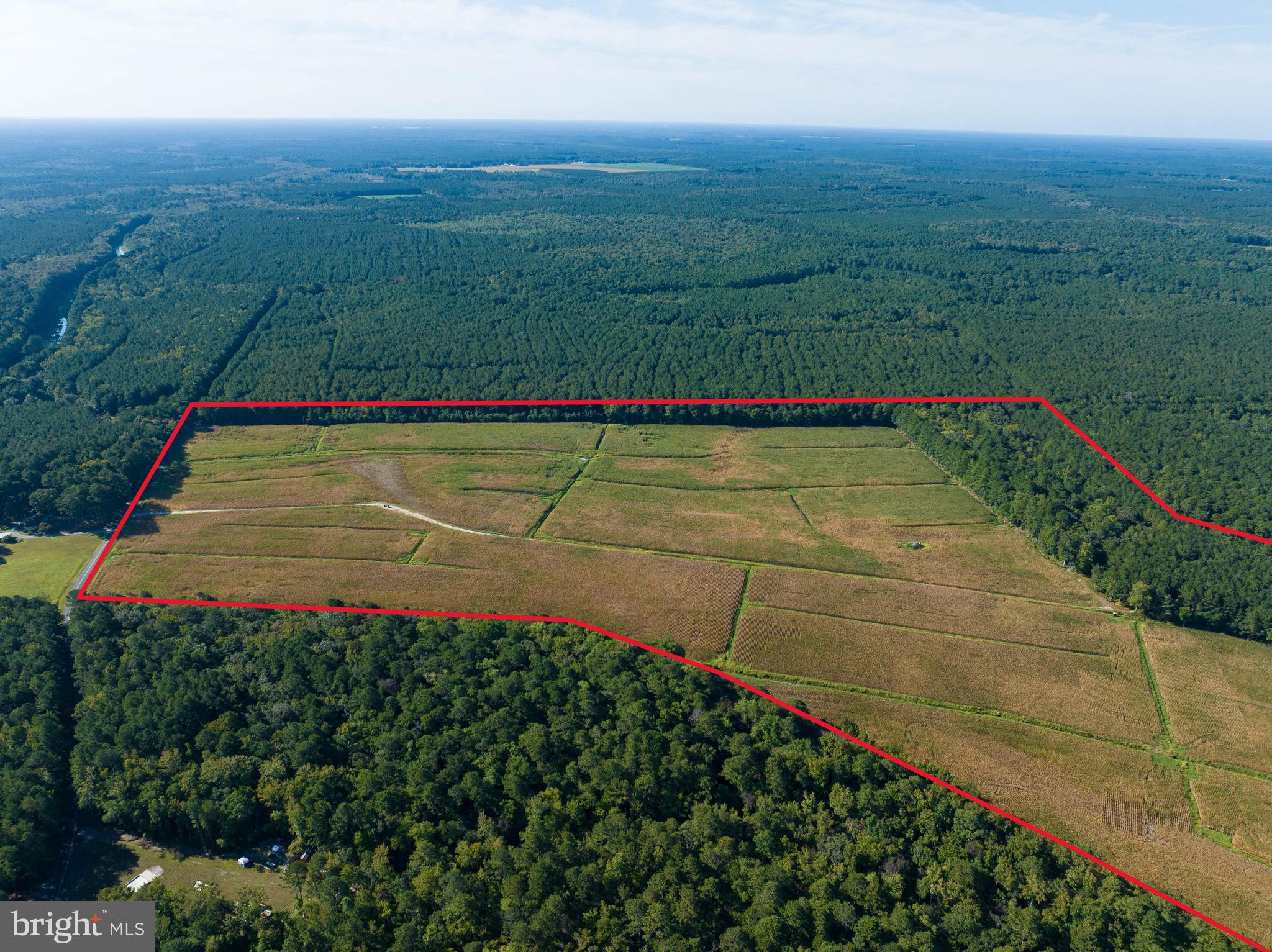 0 GREENBRIAR SWAMP ROAD