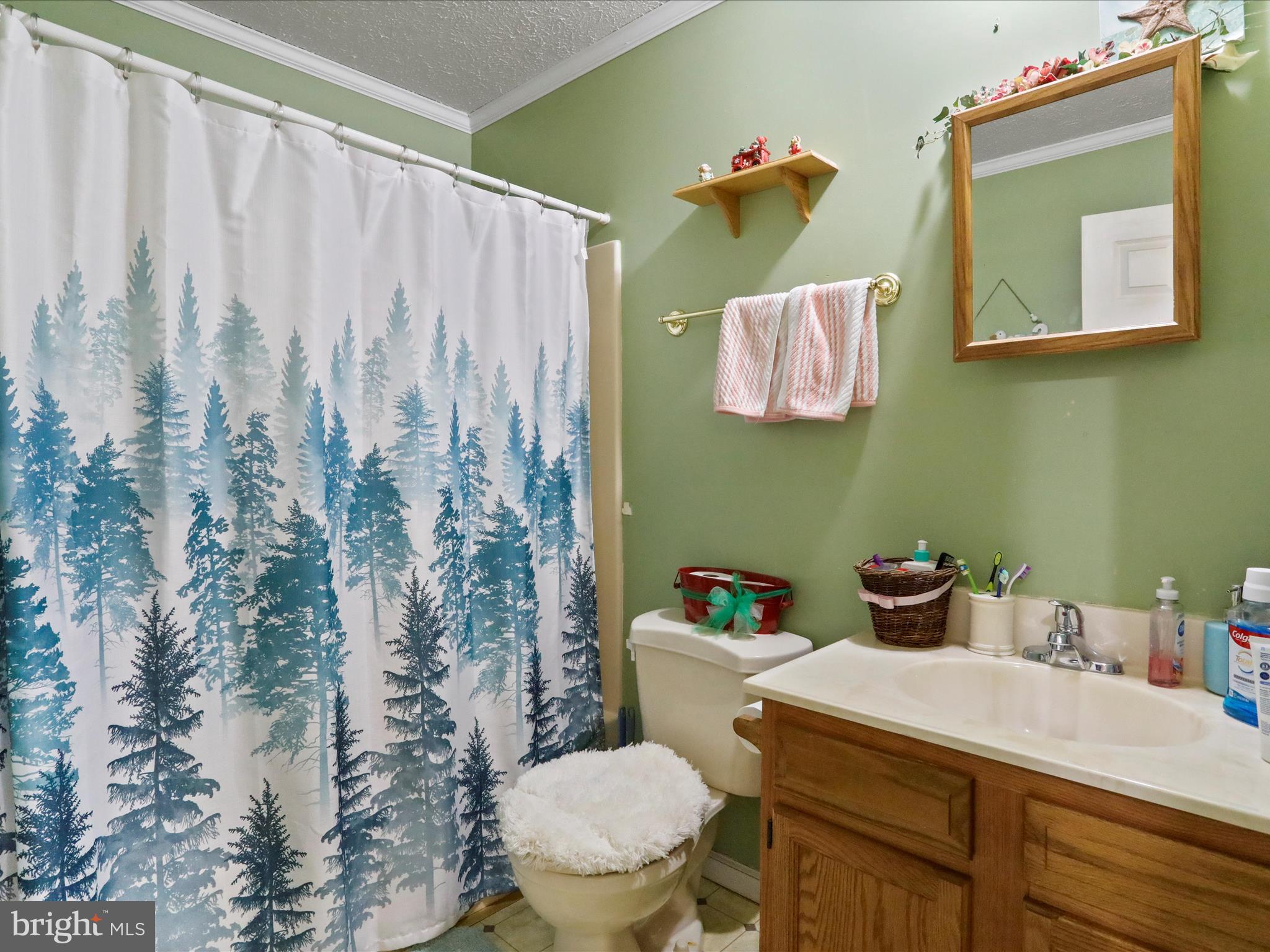 SPRINGFIELD VILLAGE - Residential