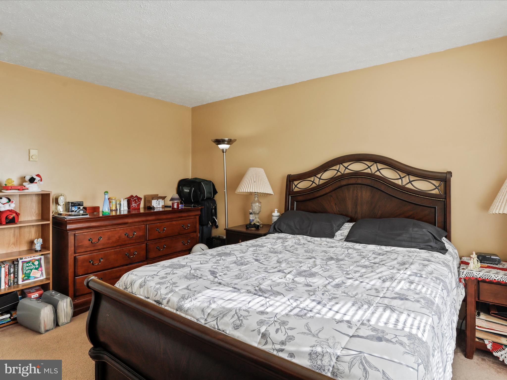 SPRINGFIELD VILLAGE - Residential