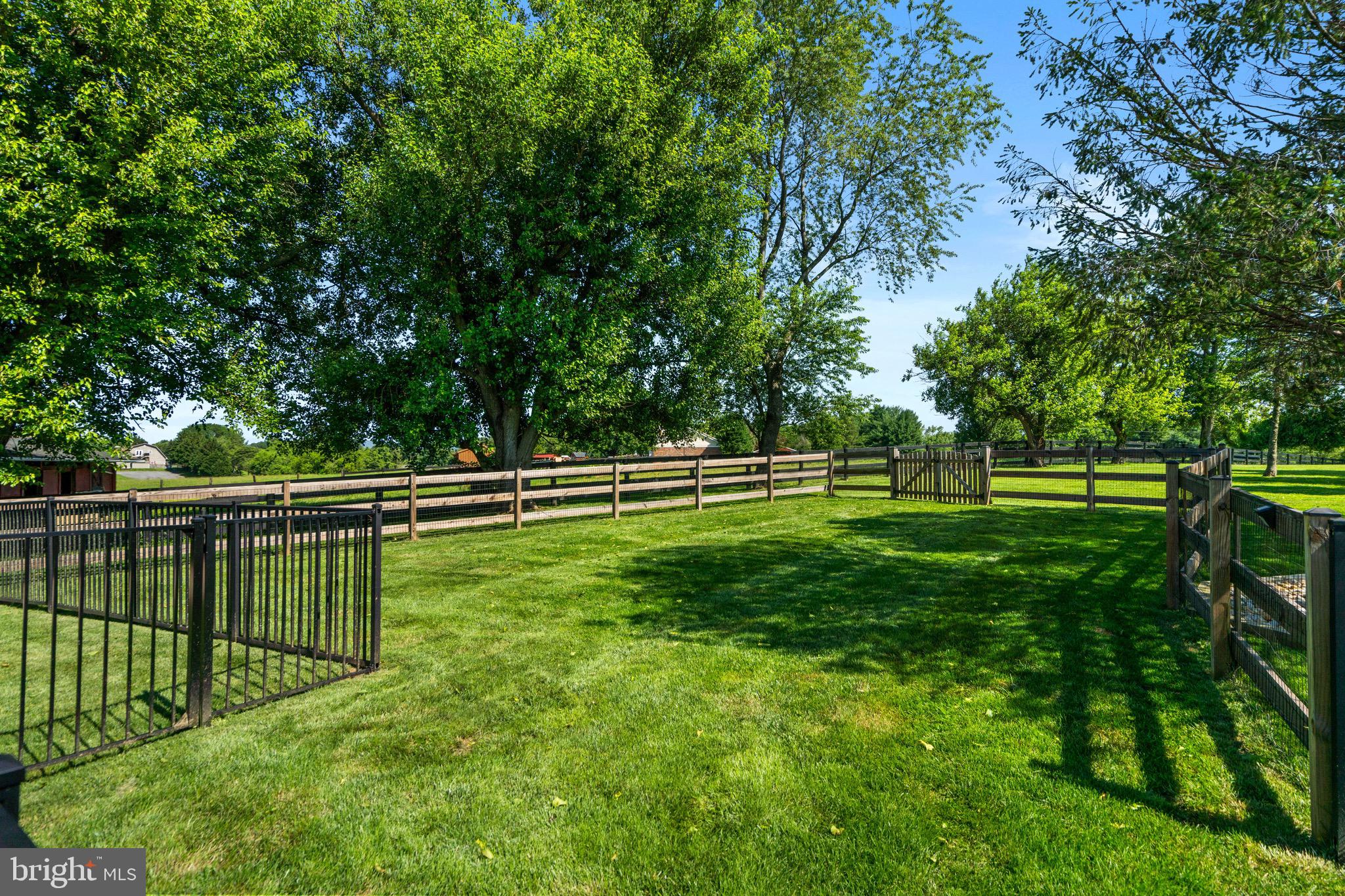 PEACOCK - Residential