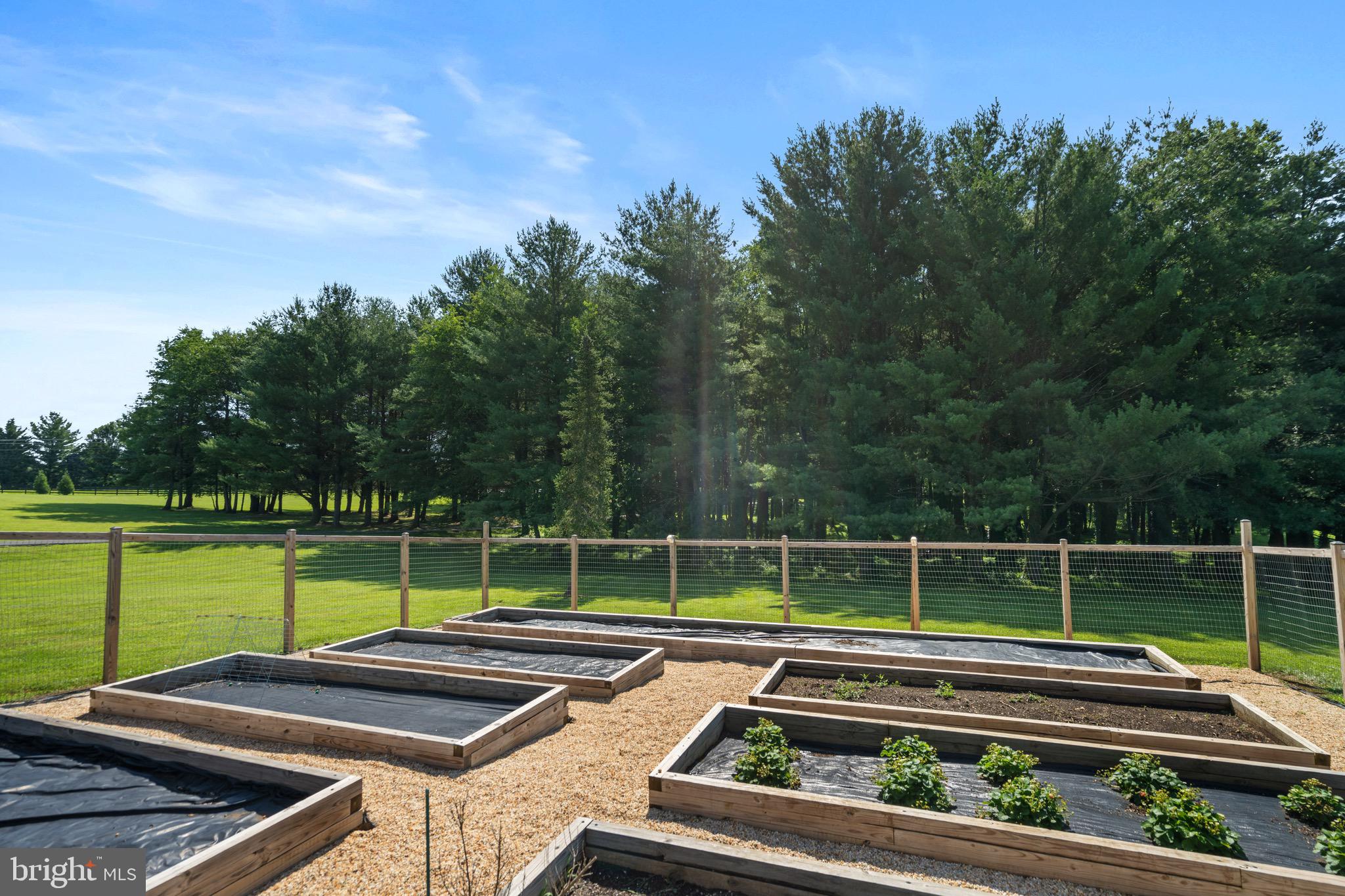 PEACOCK - Residential