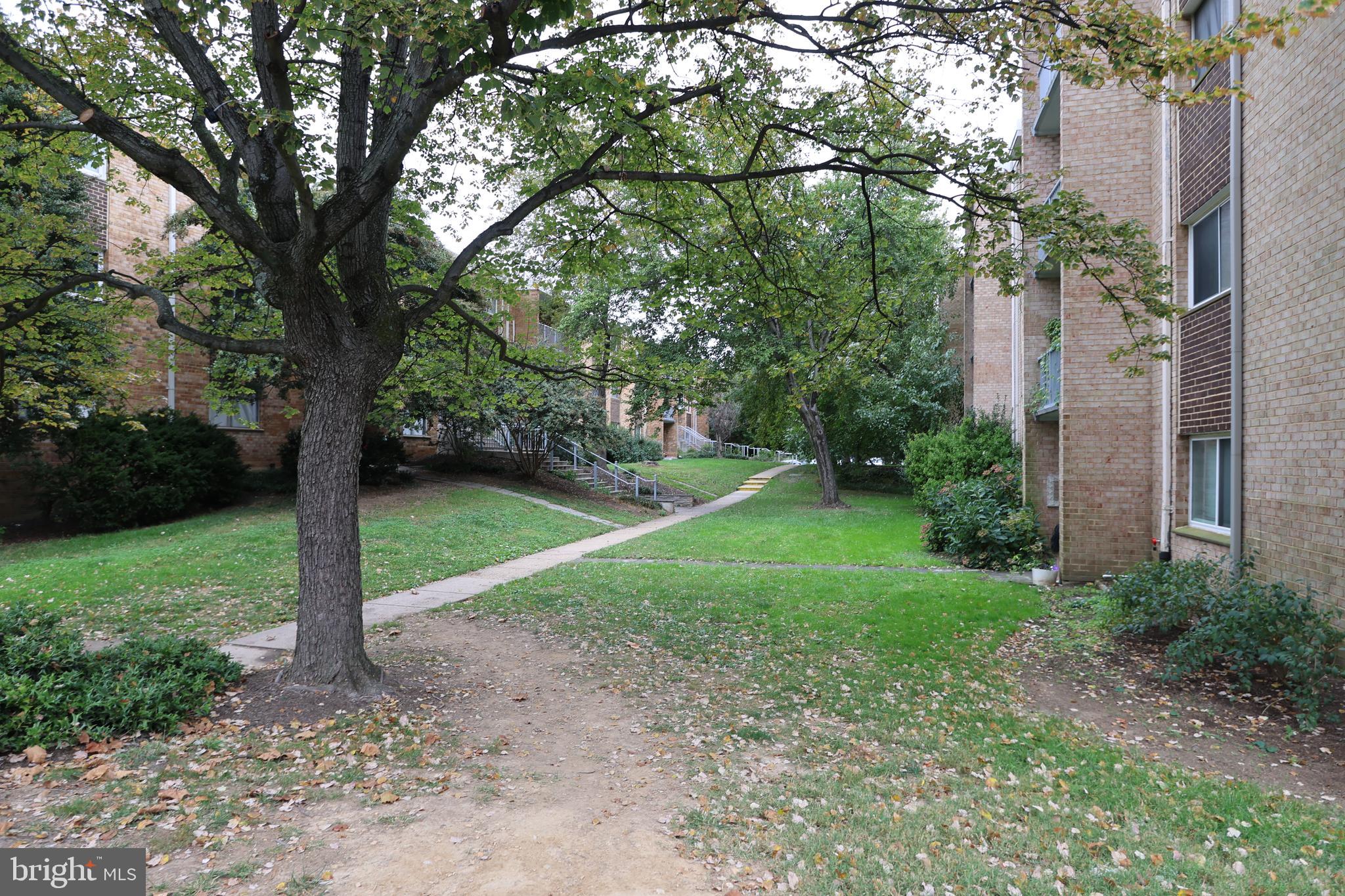 2906 KINGS CHAPEL ROAD 4