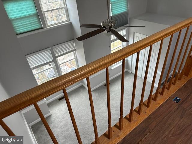 AVONDALE - Residential