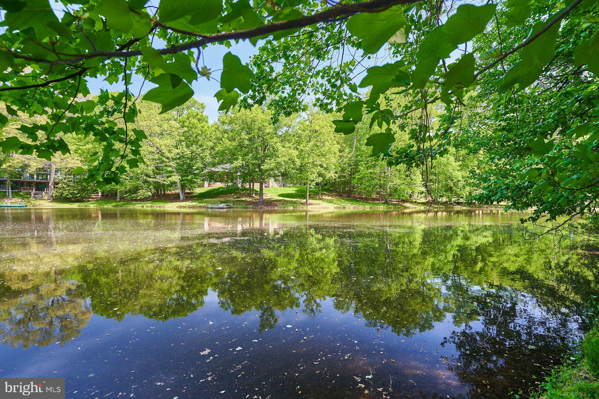 WALKER WOODS LAKE - Residential