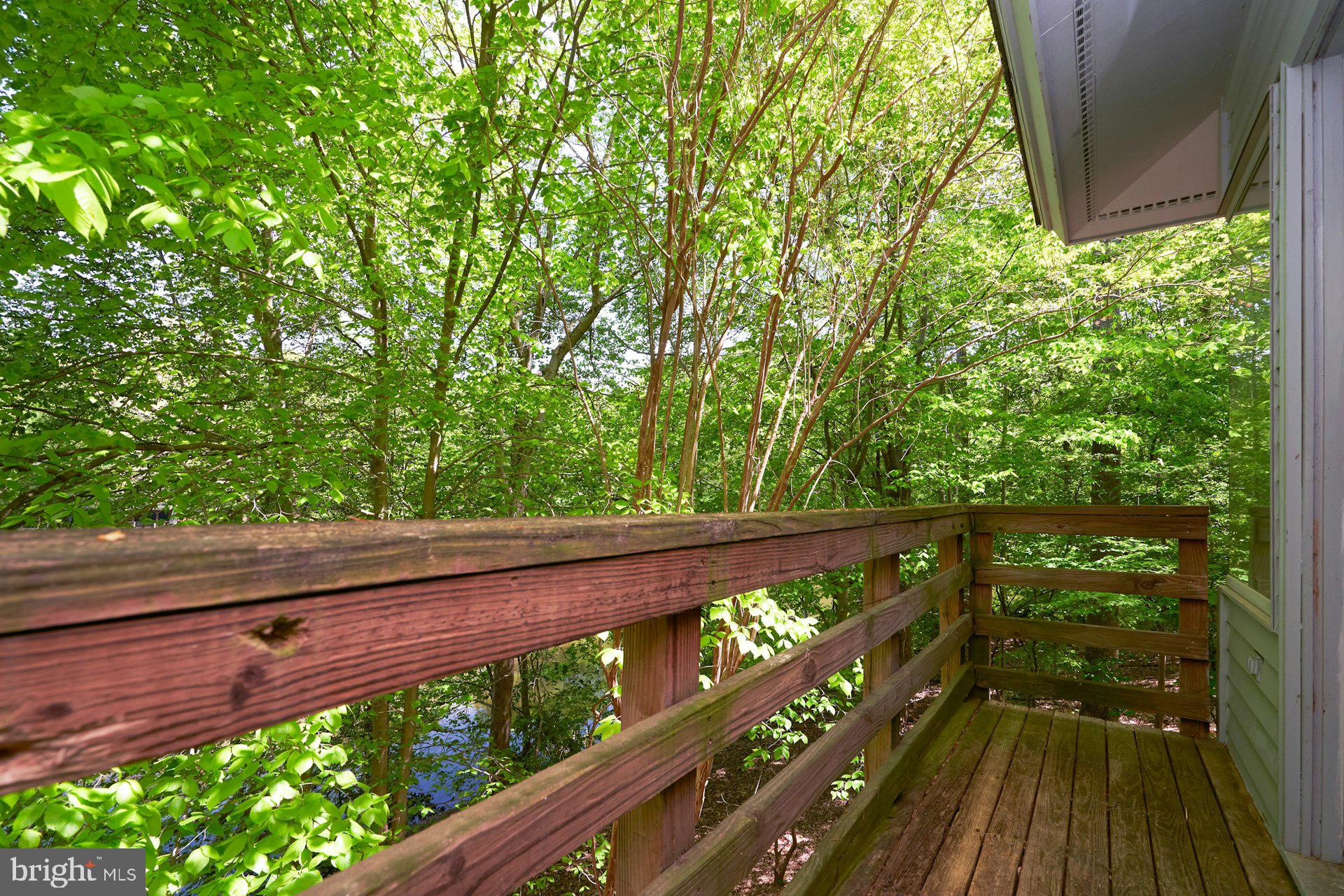 WALKER WOODS LAKE - Residential