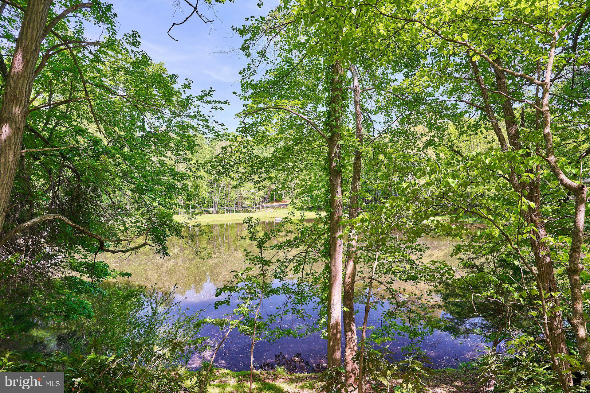 WALKER WOODS LAKE - Residential