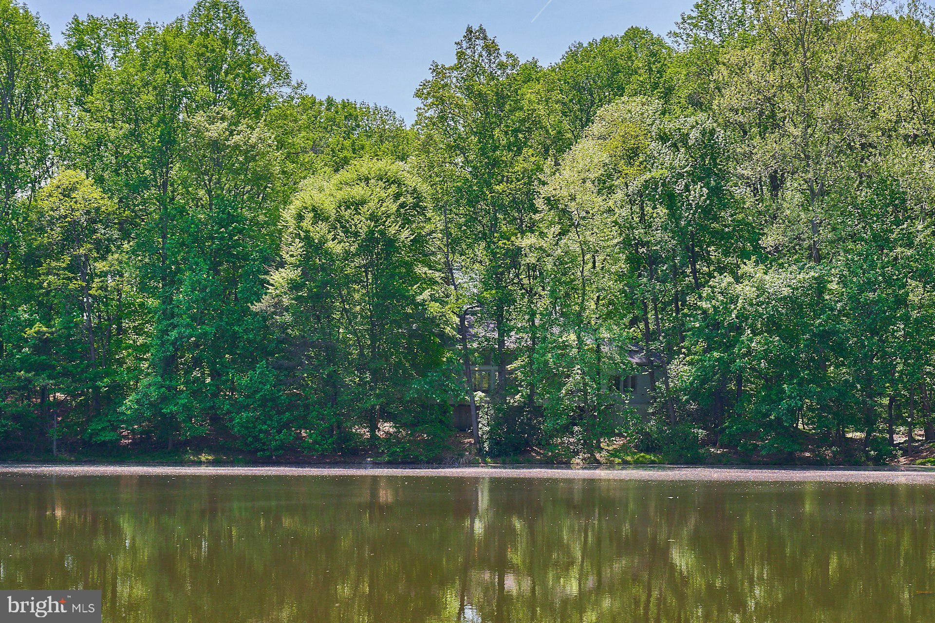 WALKER WOODS LAKE - Residential