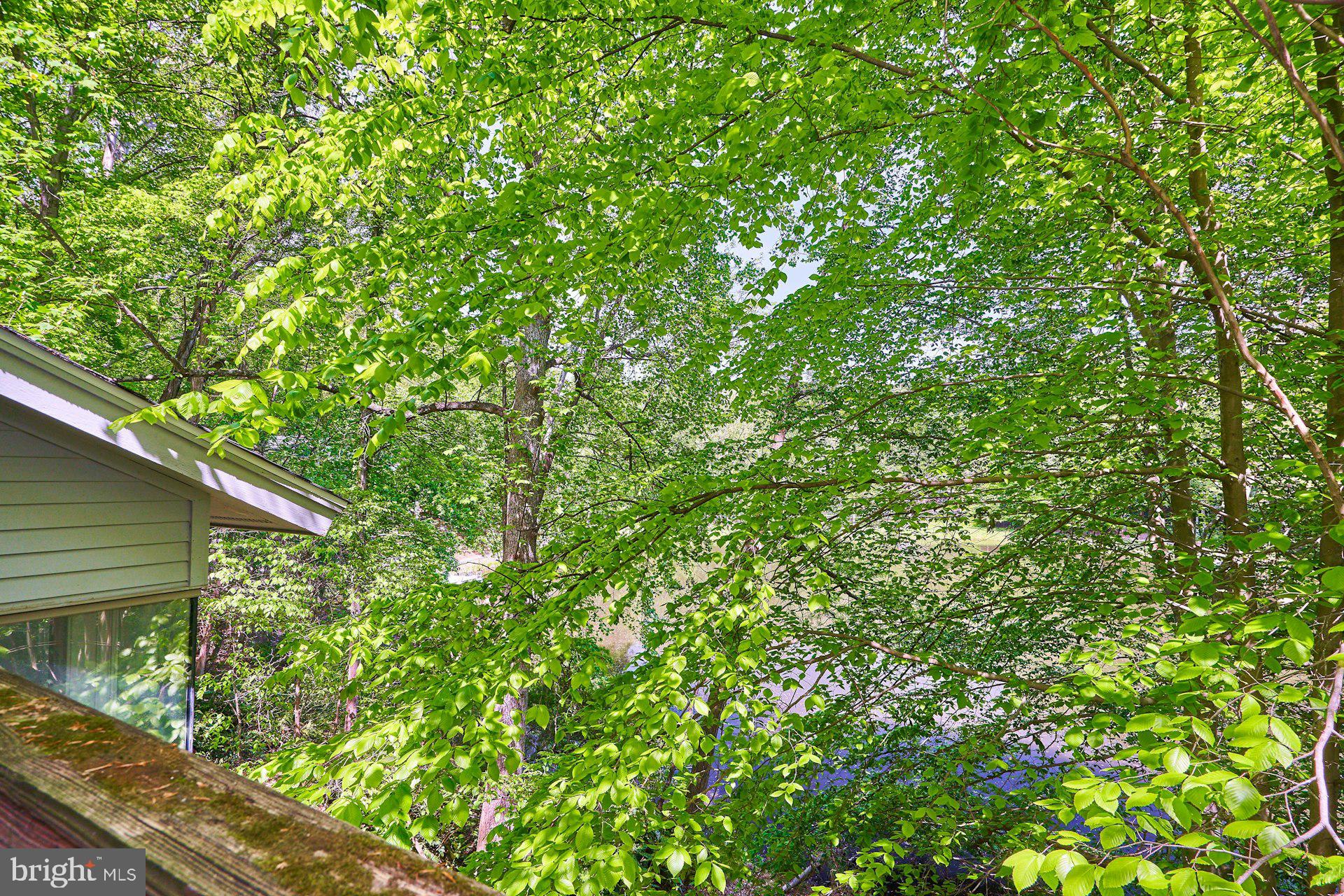 WALKER WOODS LAKE - Residential