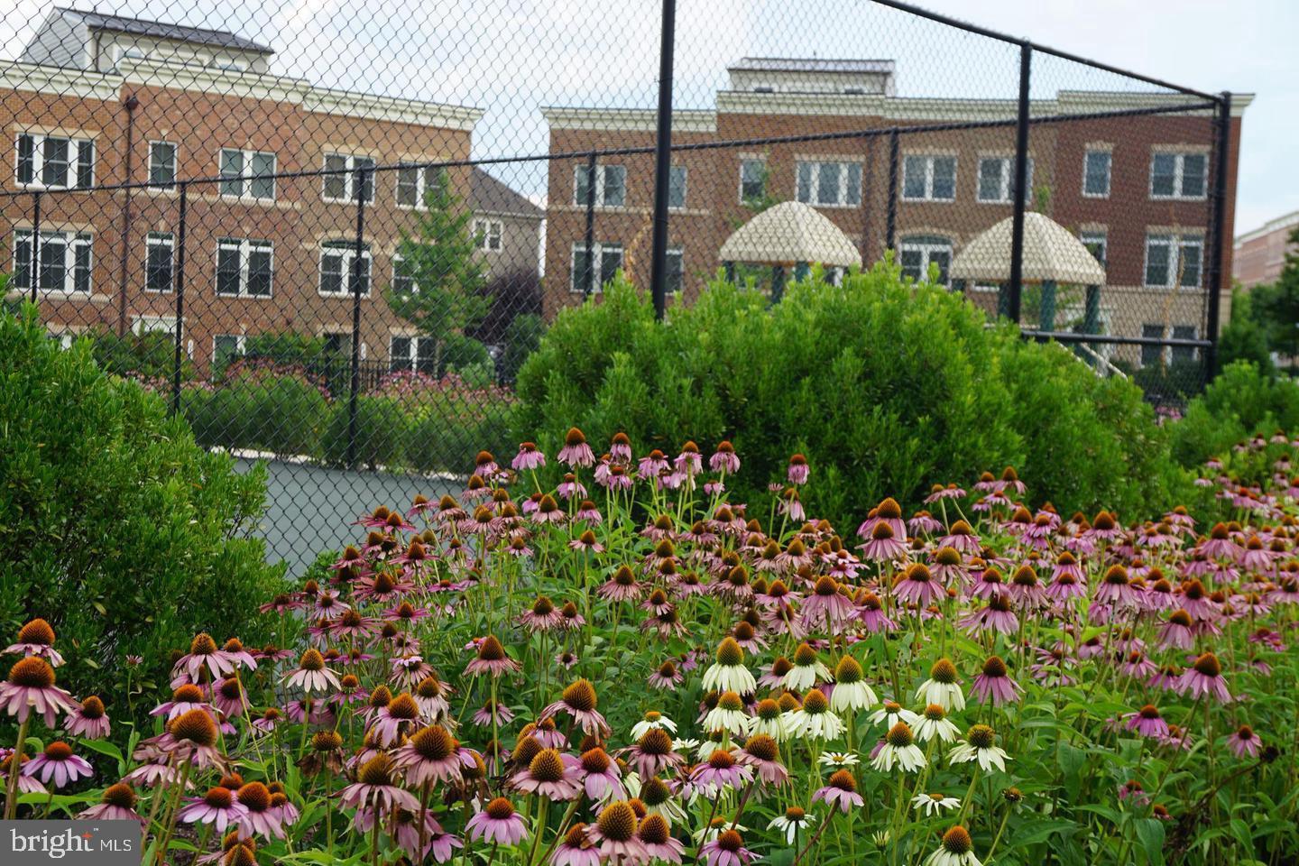 WATKINS MILL TOWN CENTER - Residential Lease