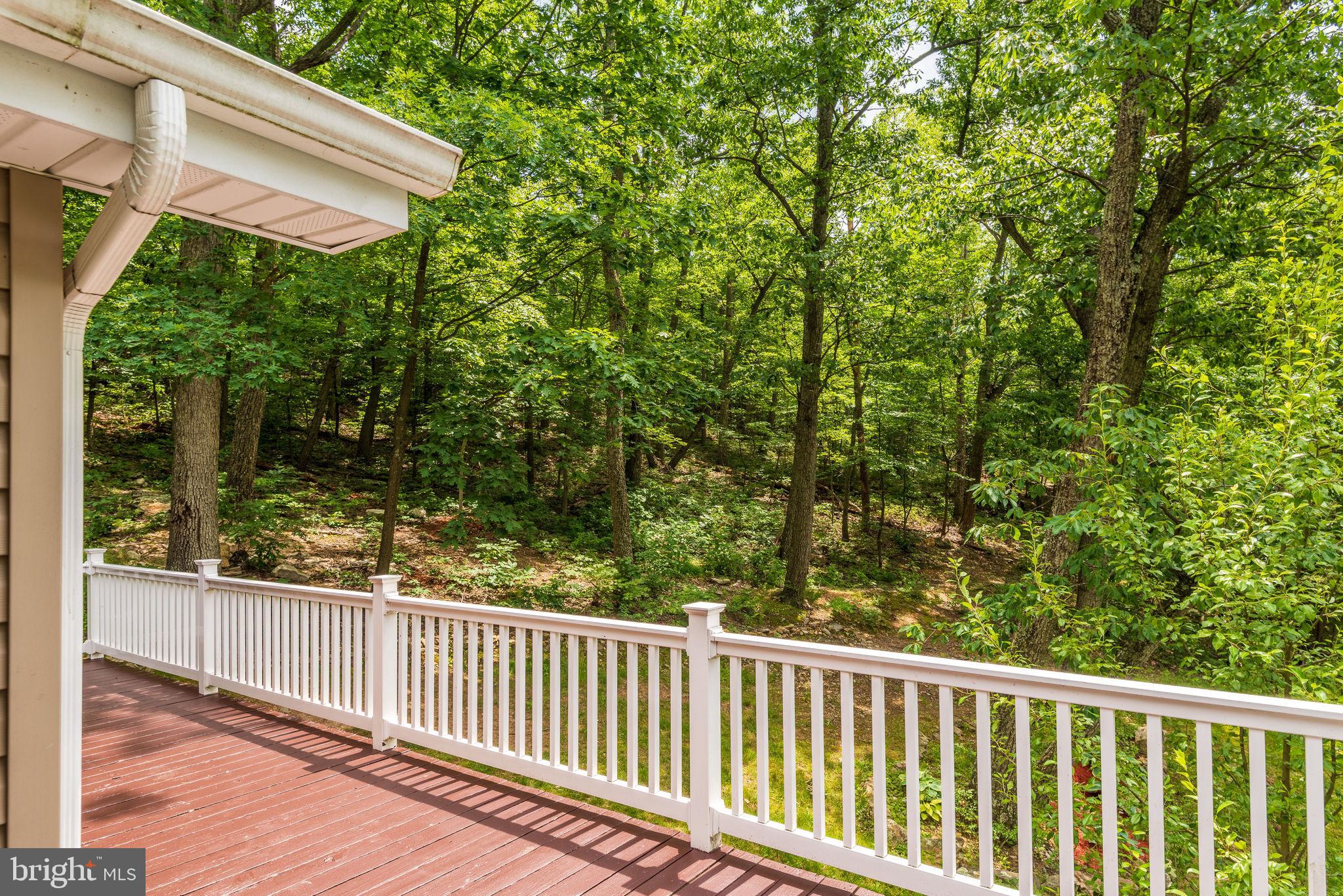 TREE BANK AT NORTH MOUNTAIN - Residential