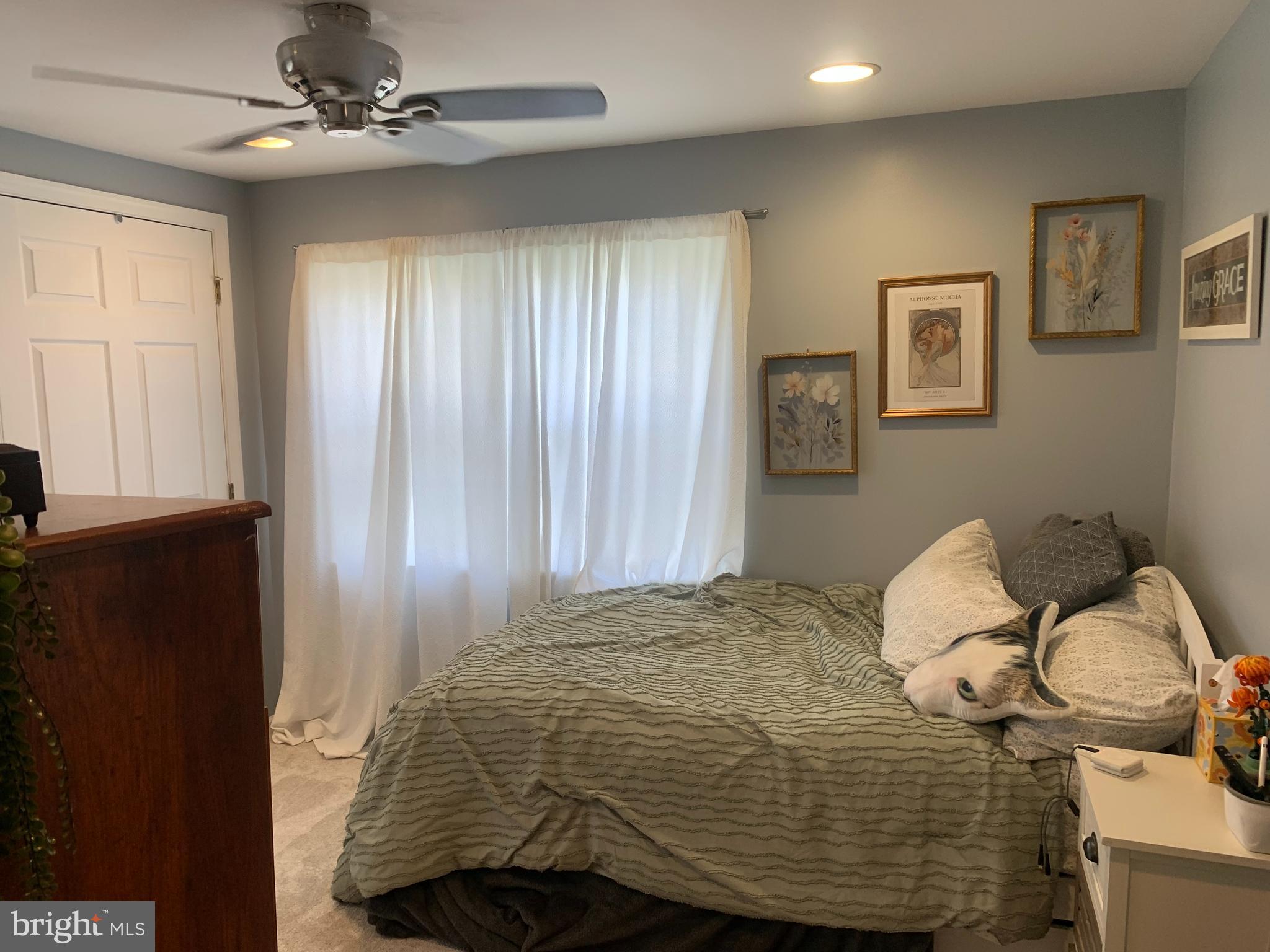 CARLISLE BOROUGH - Residential