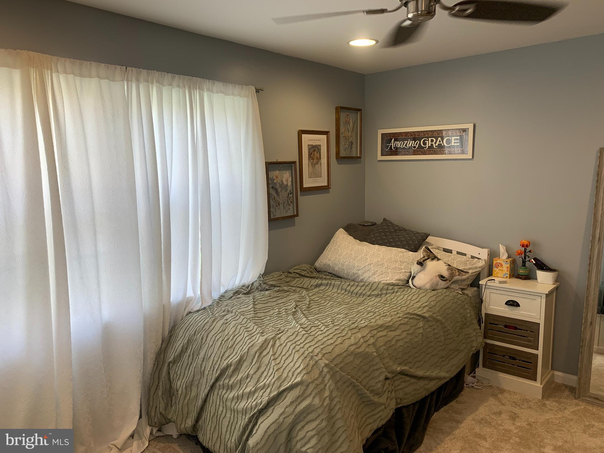 CARLISLE BOROUGH - Residential