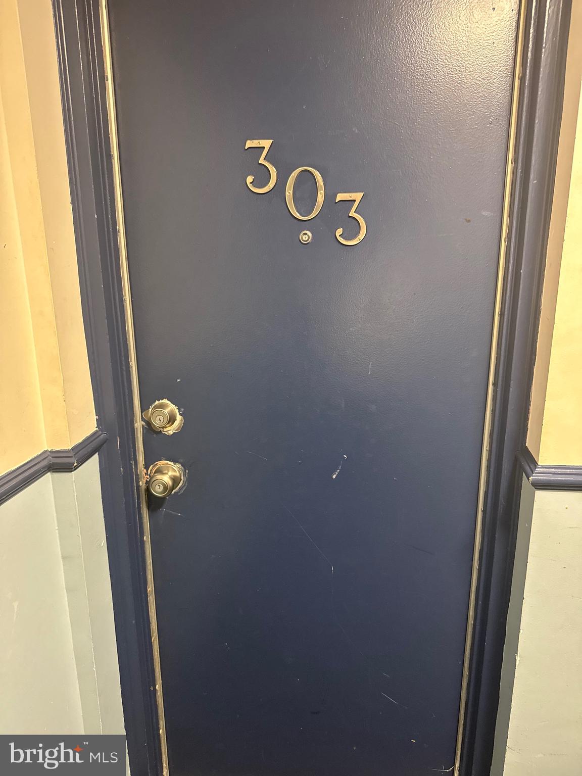 742 BRANDYWINE STREET SE 303