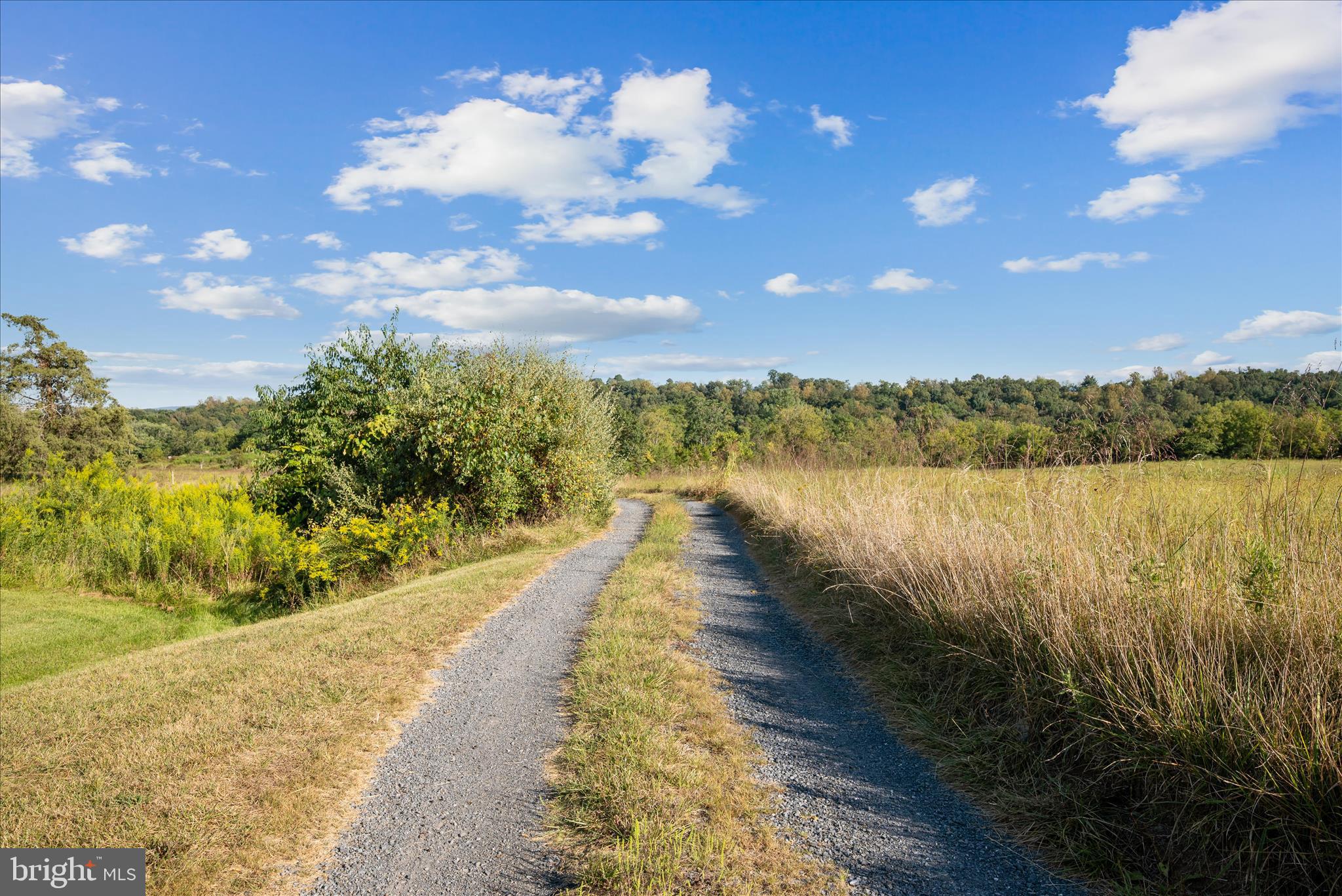 RIDGE HOLLOW ROAD