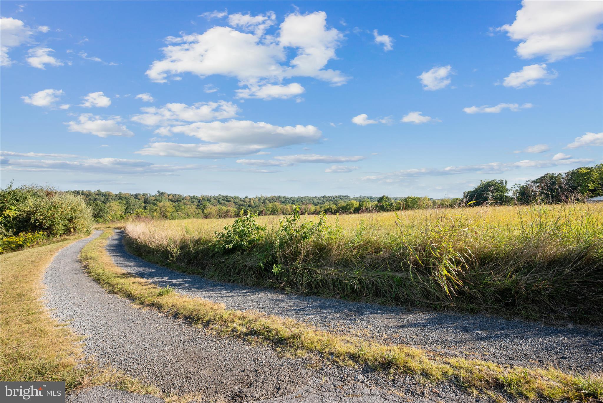 RIDGE HOLLOW ROAD
