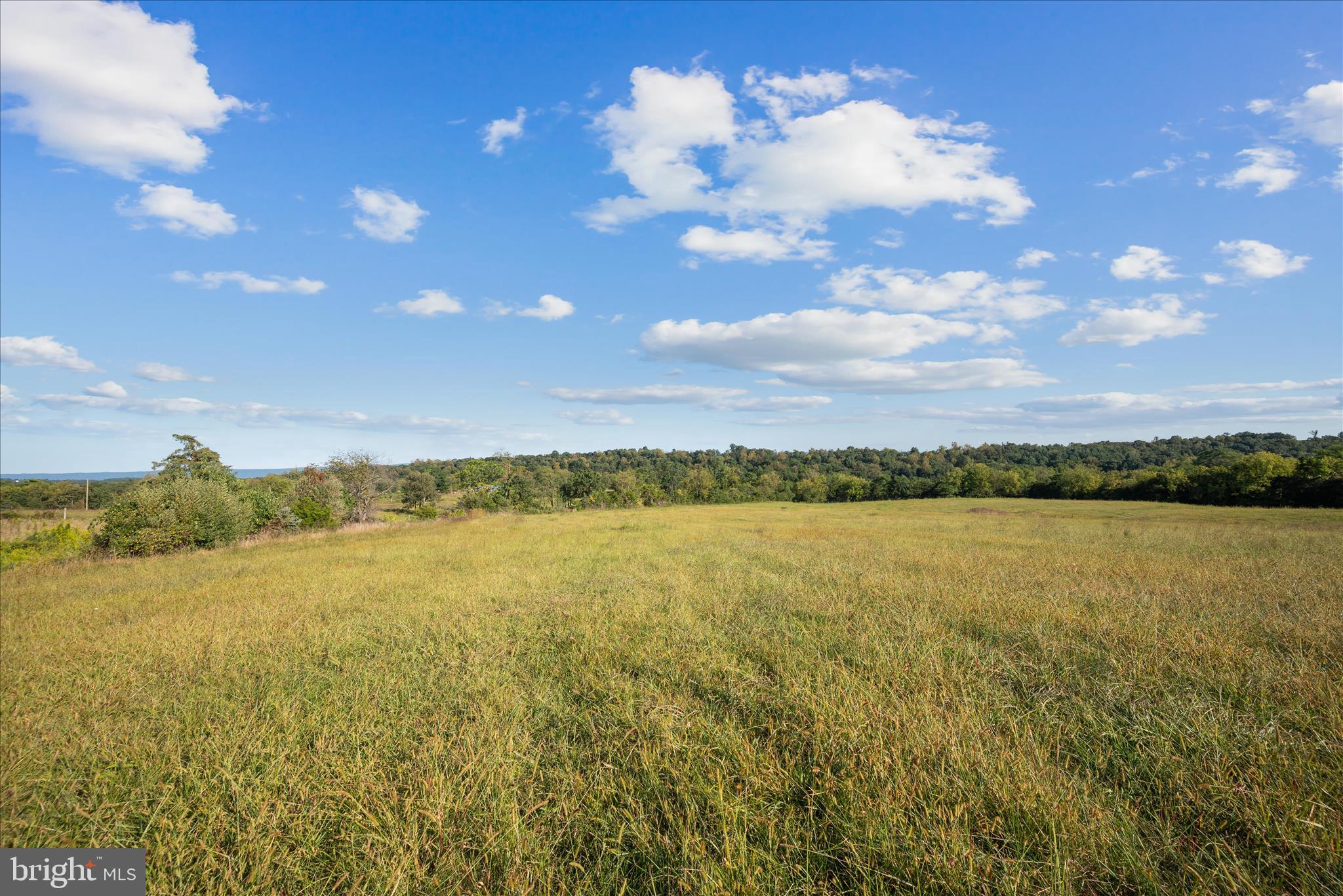 RIDGE HOLLOW ROAD