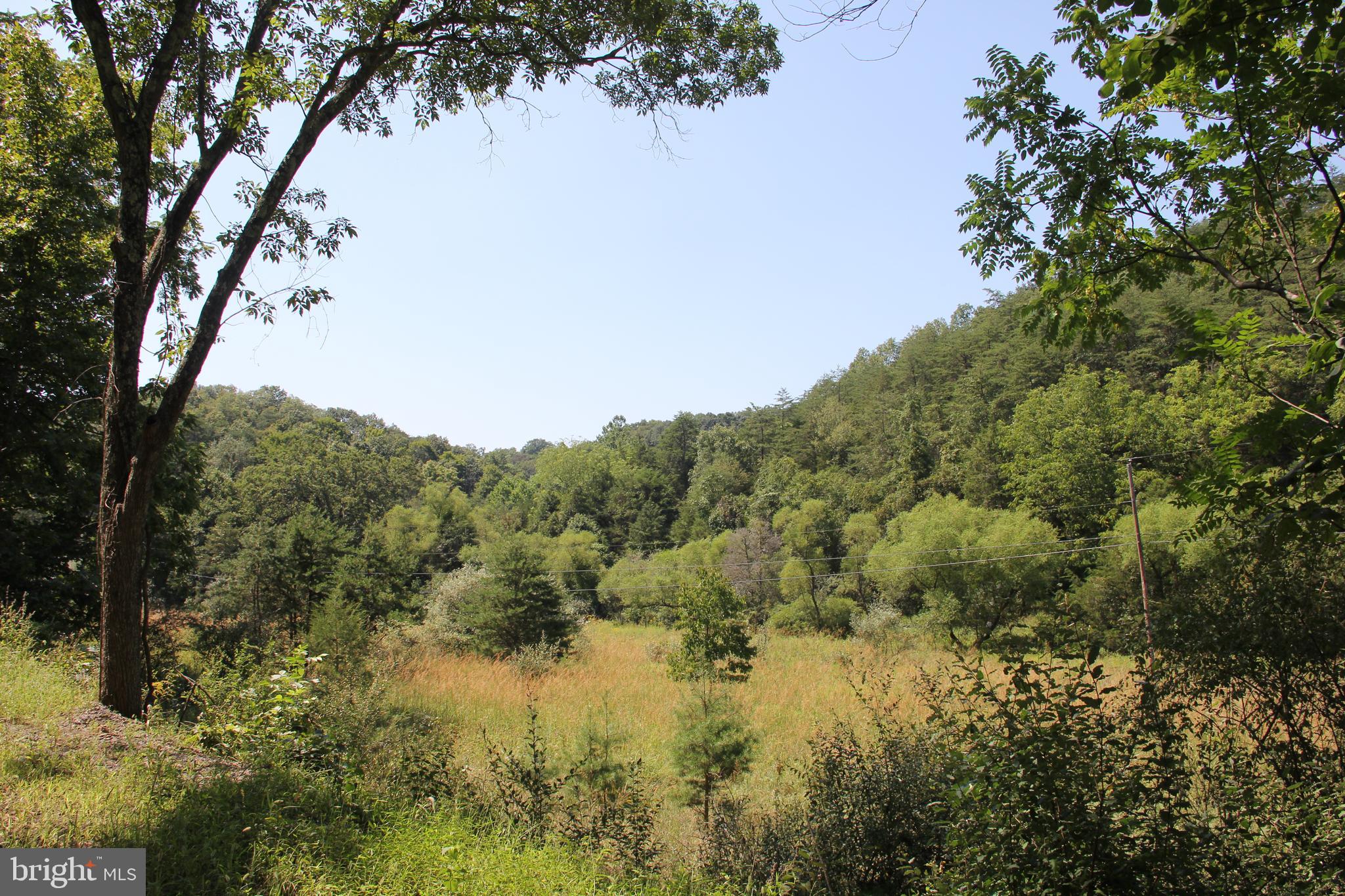 HAMILTON ESTATES - Land